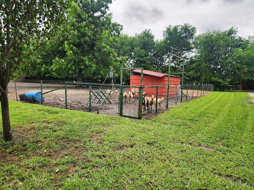 1664 County Road 4925 Trenton TX 75490
