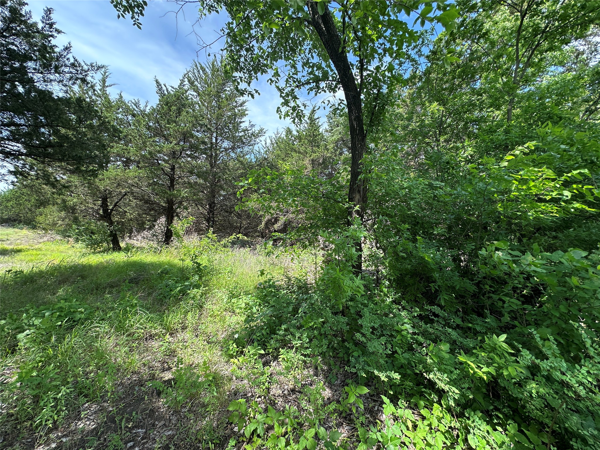 3360 Old Sherman Road Whitesboro TX 76273