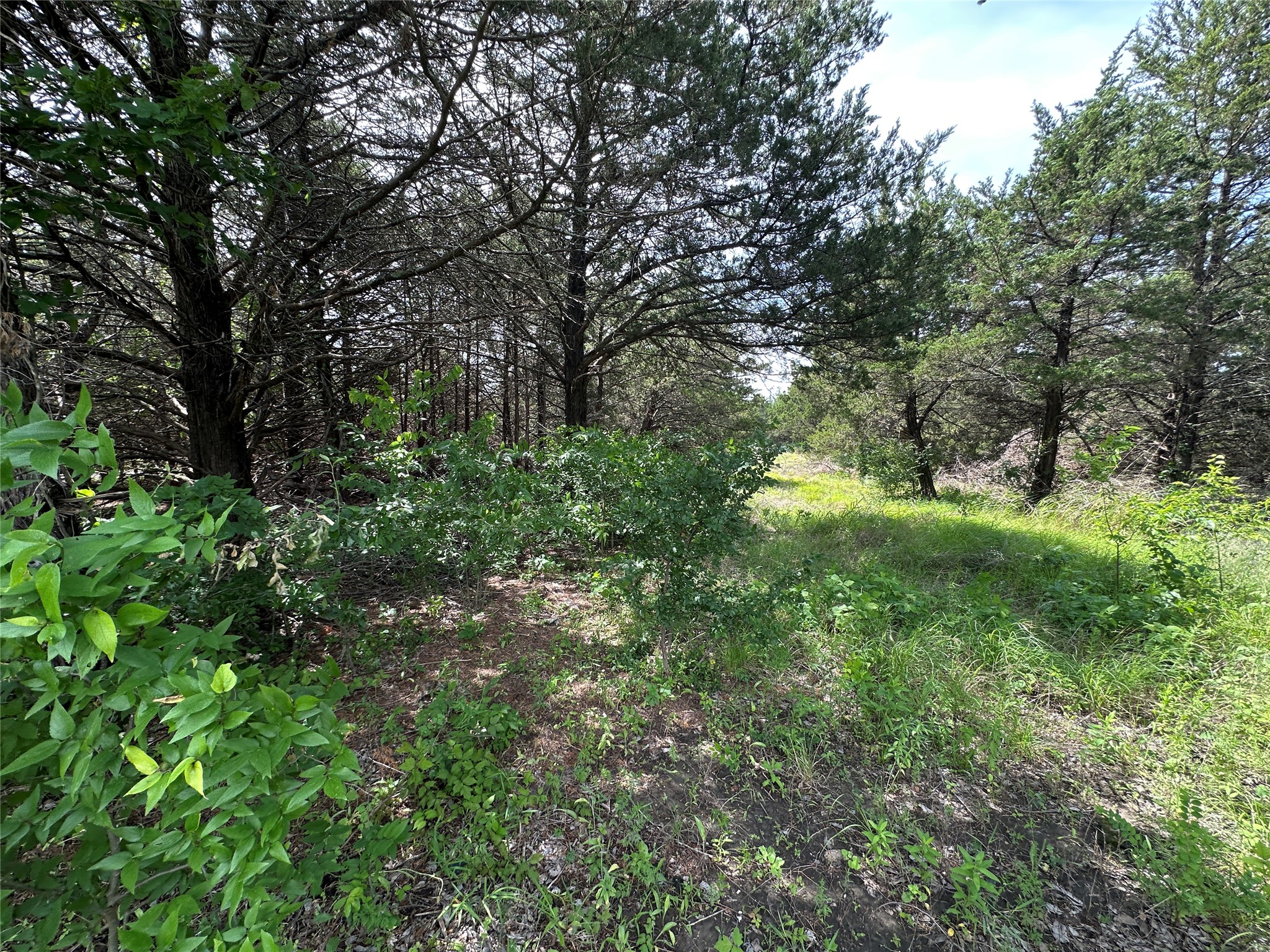 3360 Old Sherman Road Whitesboro TX 76273