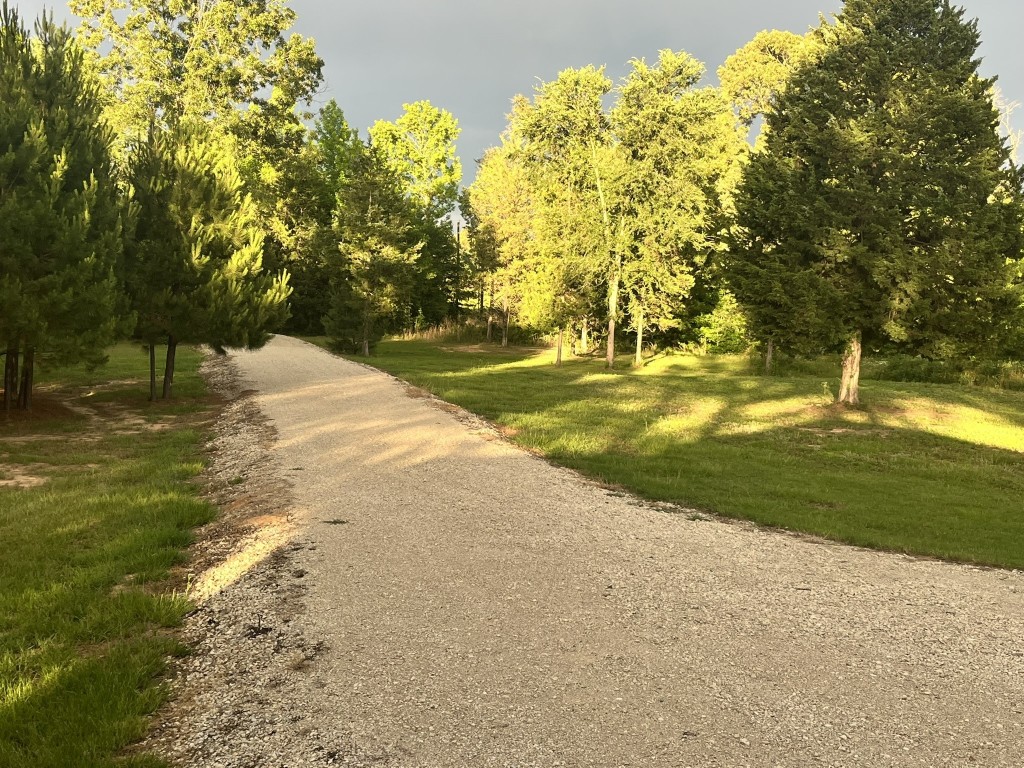 435 County Road 3265 Mineola TX 75773