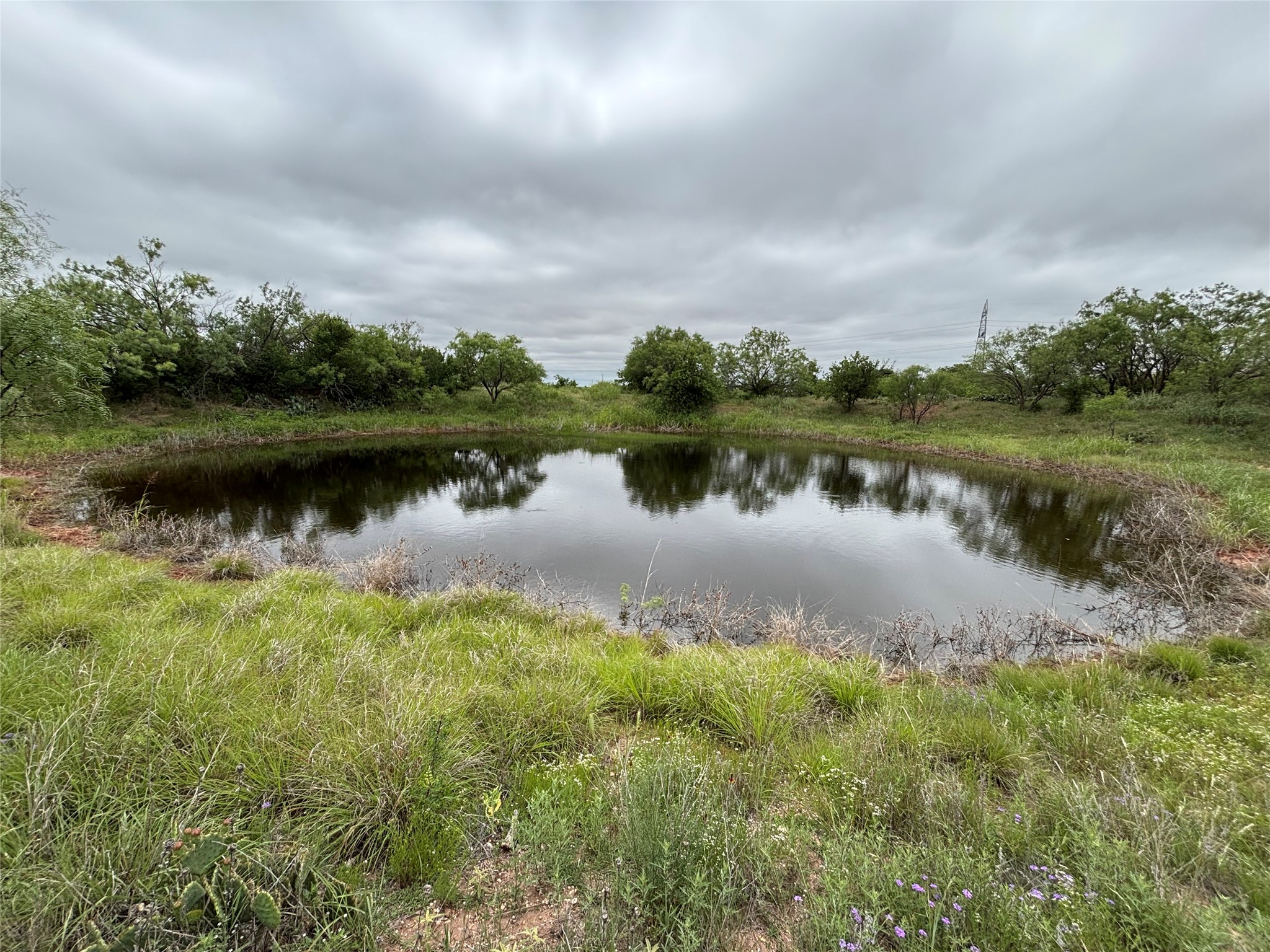202 County Road 312 Winters TX 79567