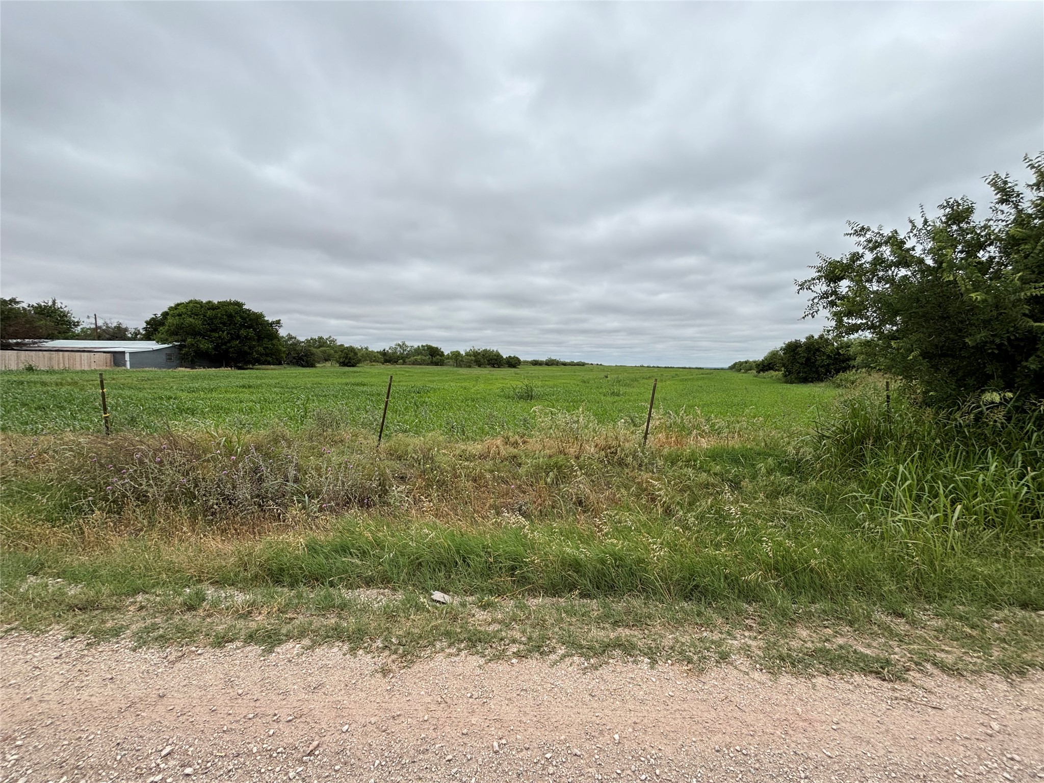 202 County Road 312 Winters TX 79567