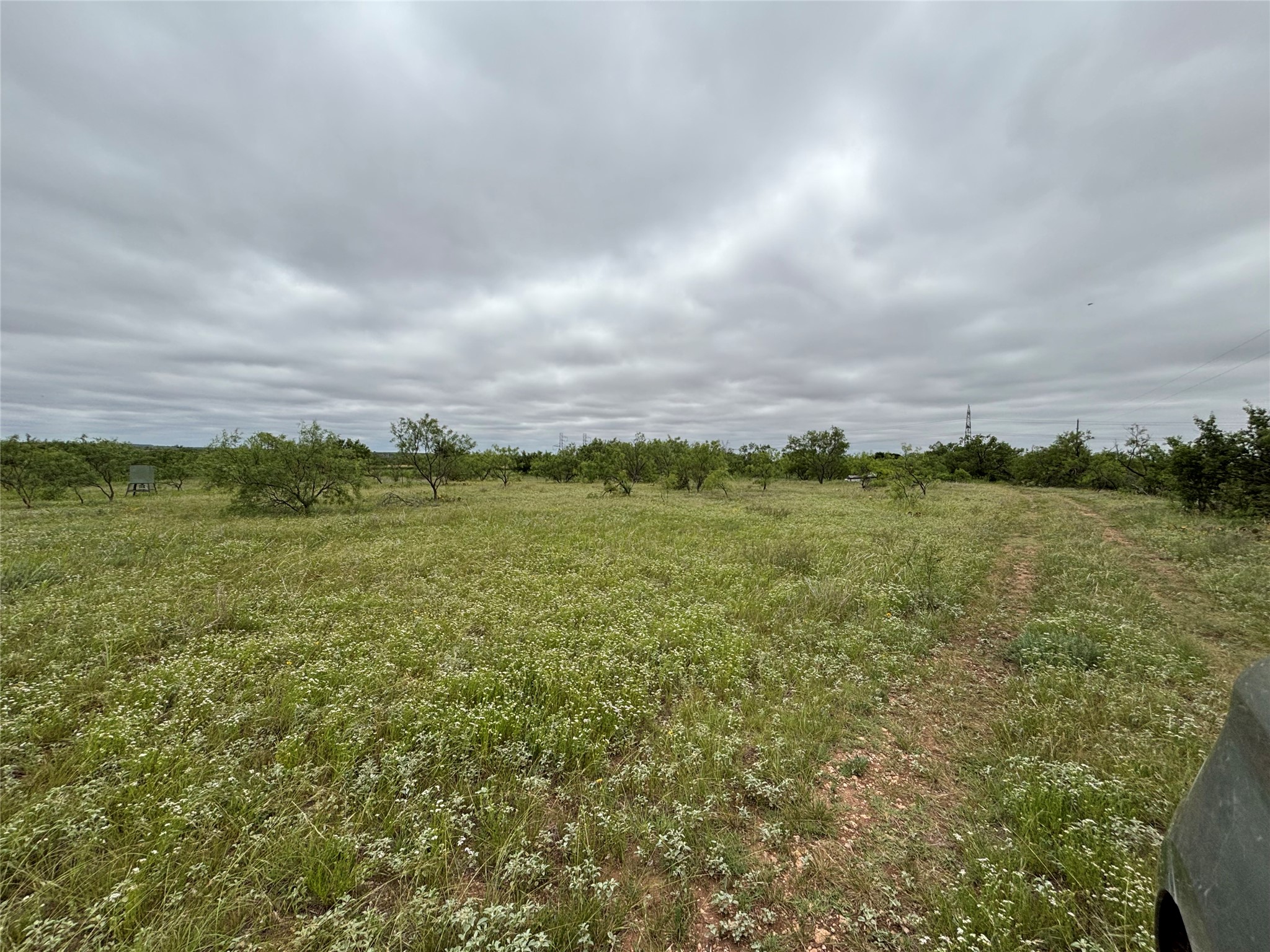 202 County Road 312 Winters TX 79567