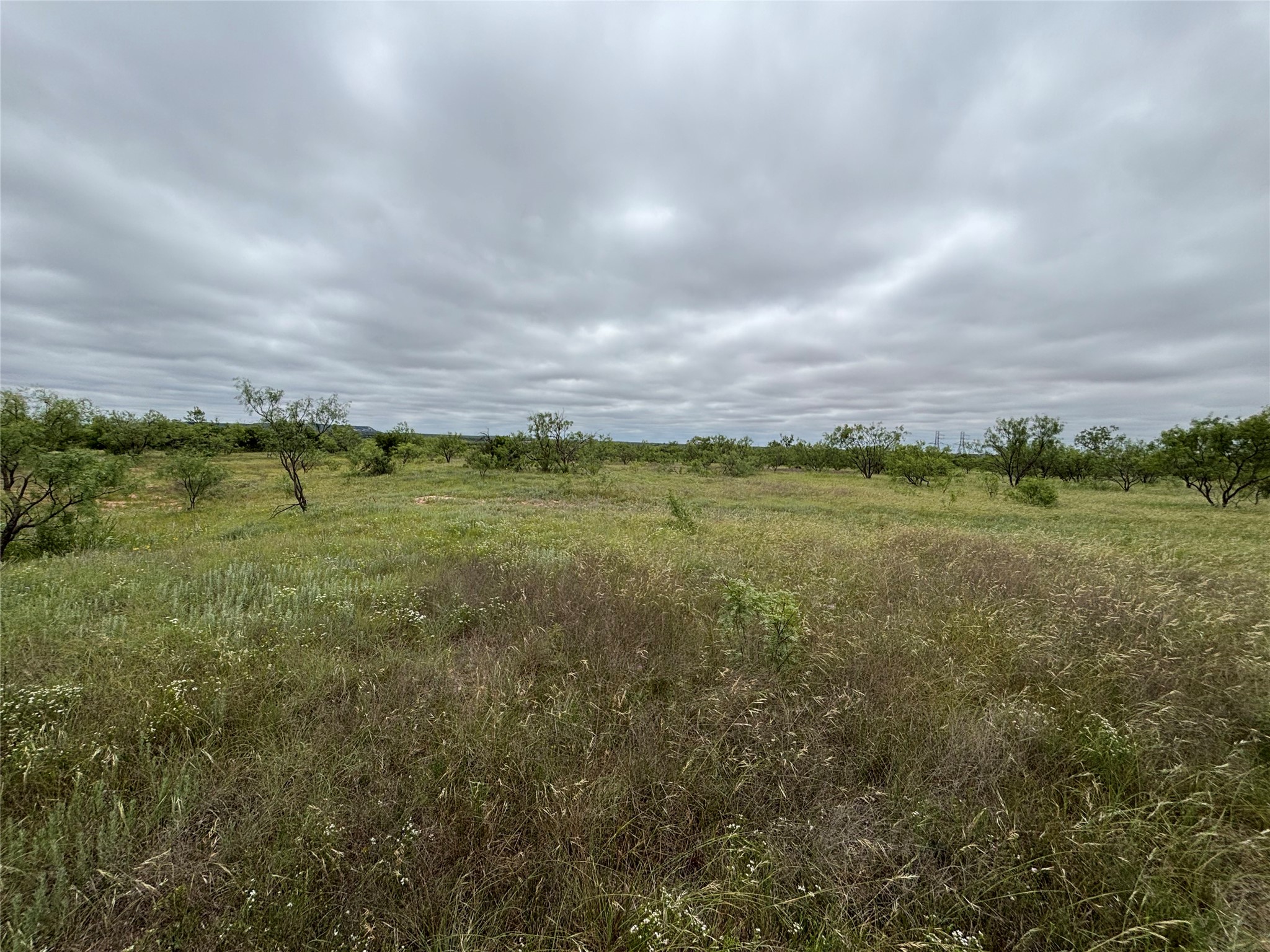 202 County Road 312 Winters TX 79567