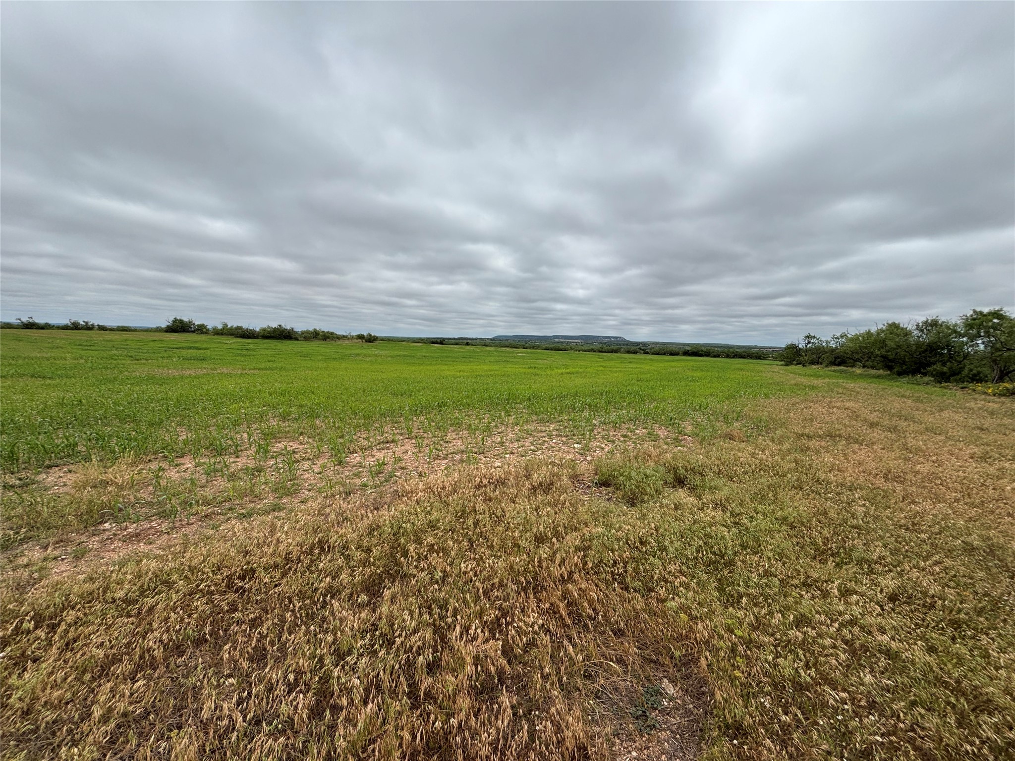 202 County Road 312 Winters TX 79567