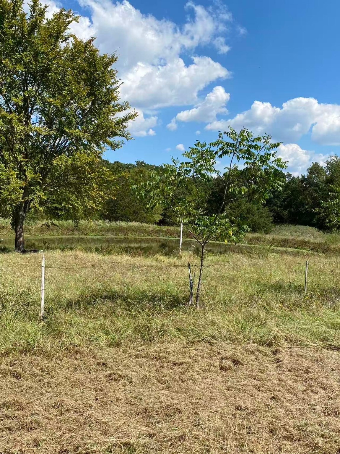 1000 Sundance Drive West Tawakoni TX 75474