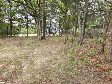 221 Private Road 8807 Ben Wheeler TX 75754
