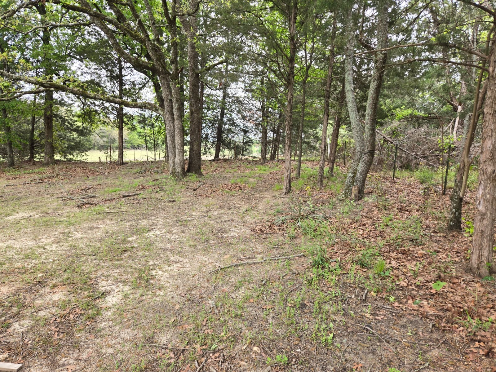 221 Private Road 8807 Ben Wheeler TX 75754