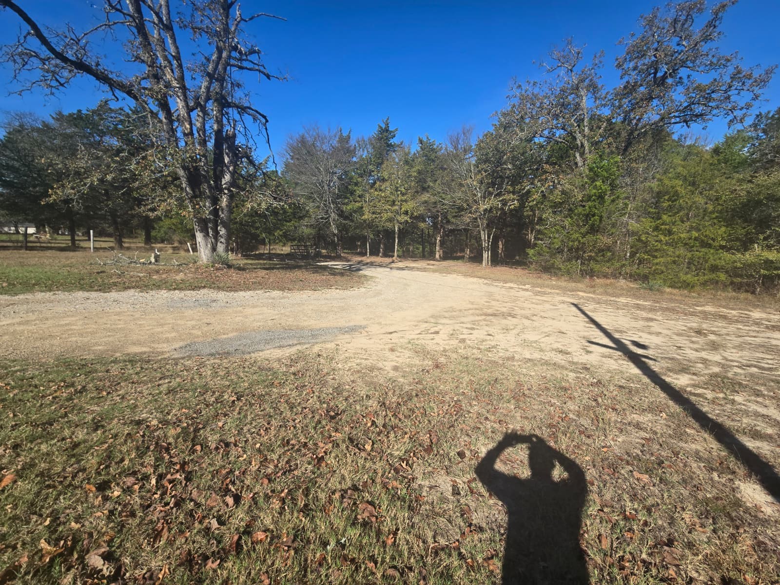 221 Private Road 8807 Ben Wheeler TX 75754