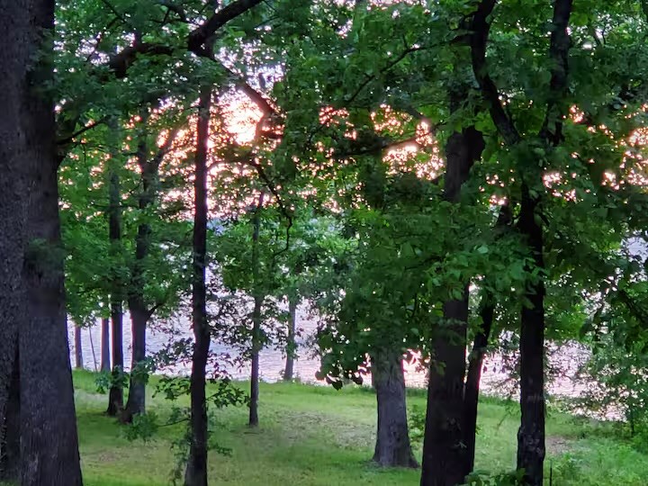 2045 Indian Gap Quitman TX 75783