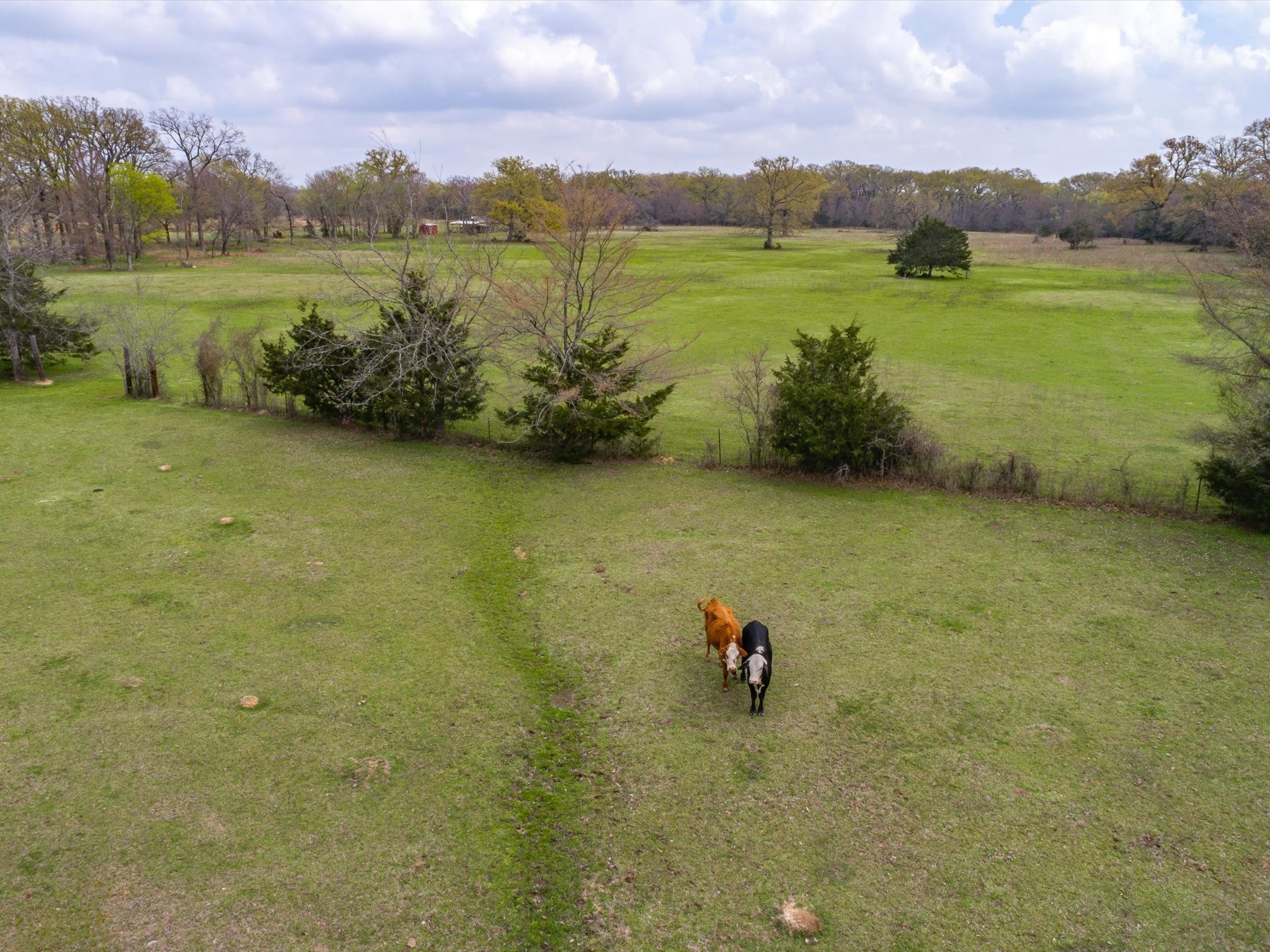 1940 County Road 1800 Yantis TX 75497
