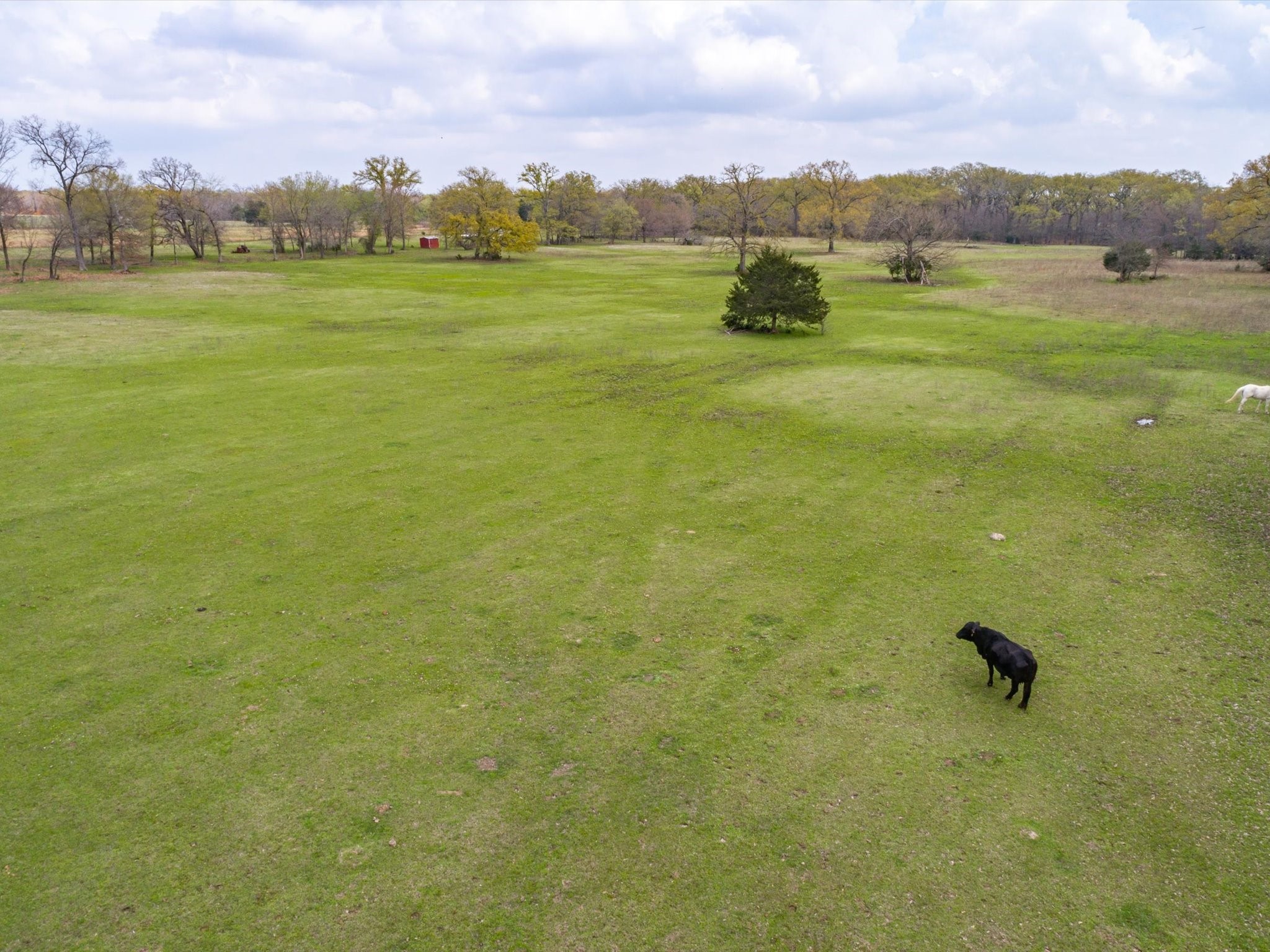 1940 County Road 1800 Yantis TX 75497