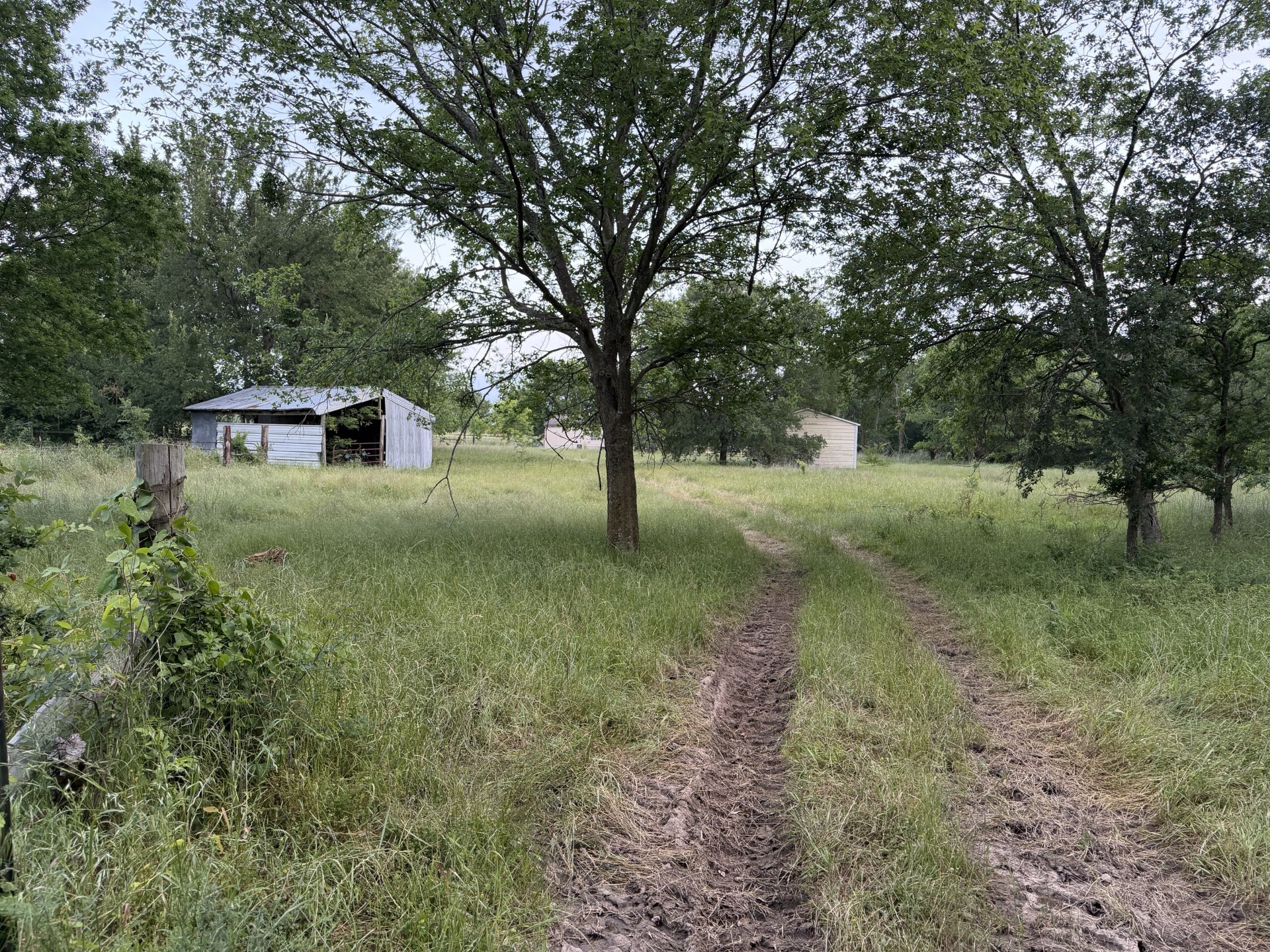 550 Vz County Road 3436 Wills Point TX 75169