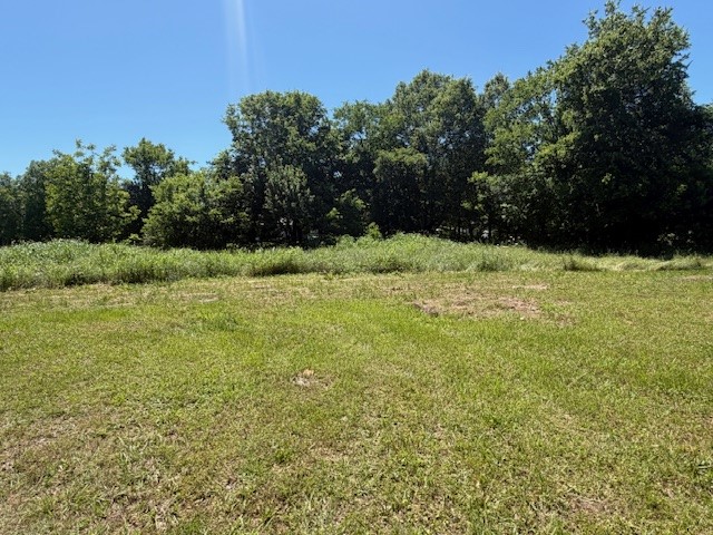 101 1/2 Harvey Street Annona TX 75550