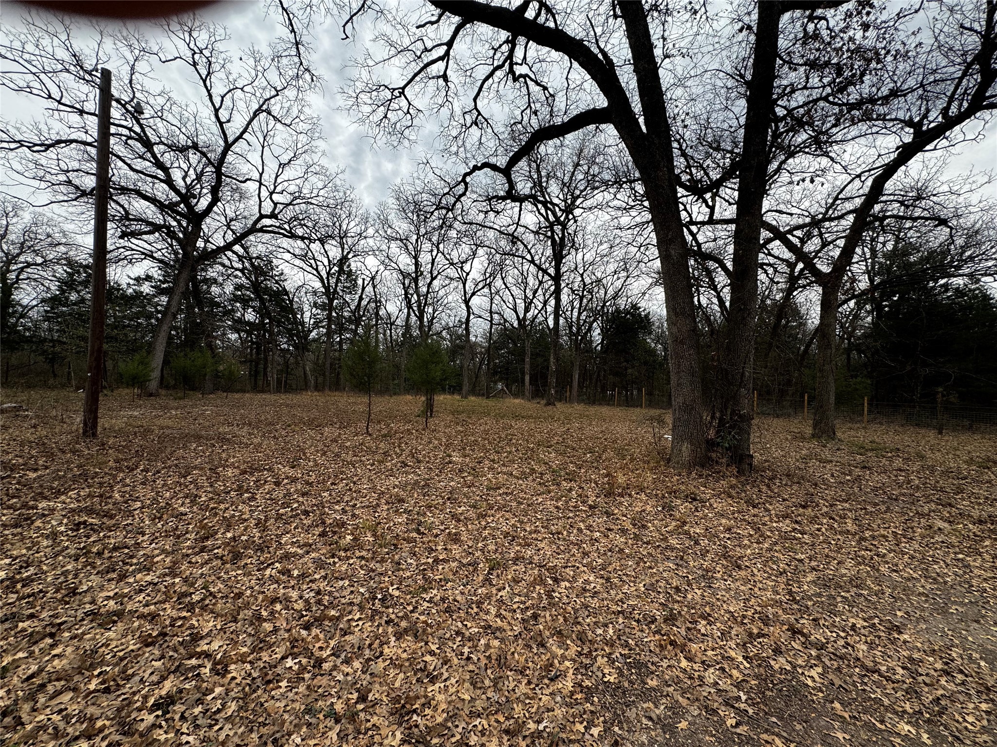 1101 County Road 2405 Kemp TX 75143
