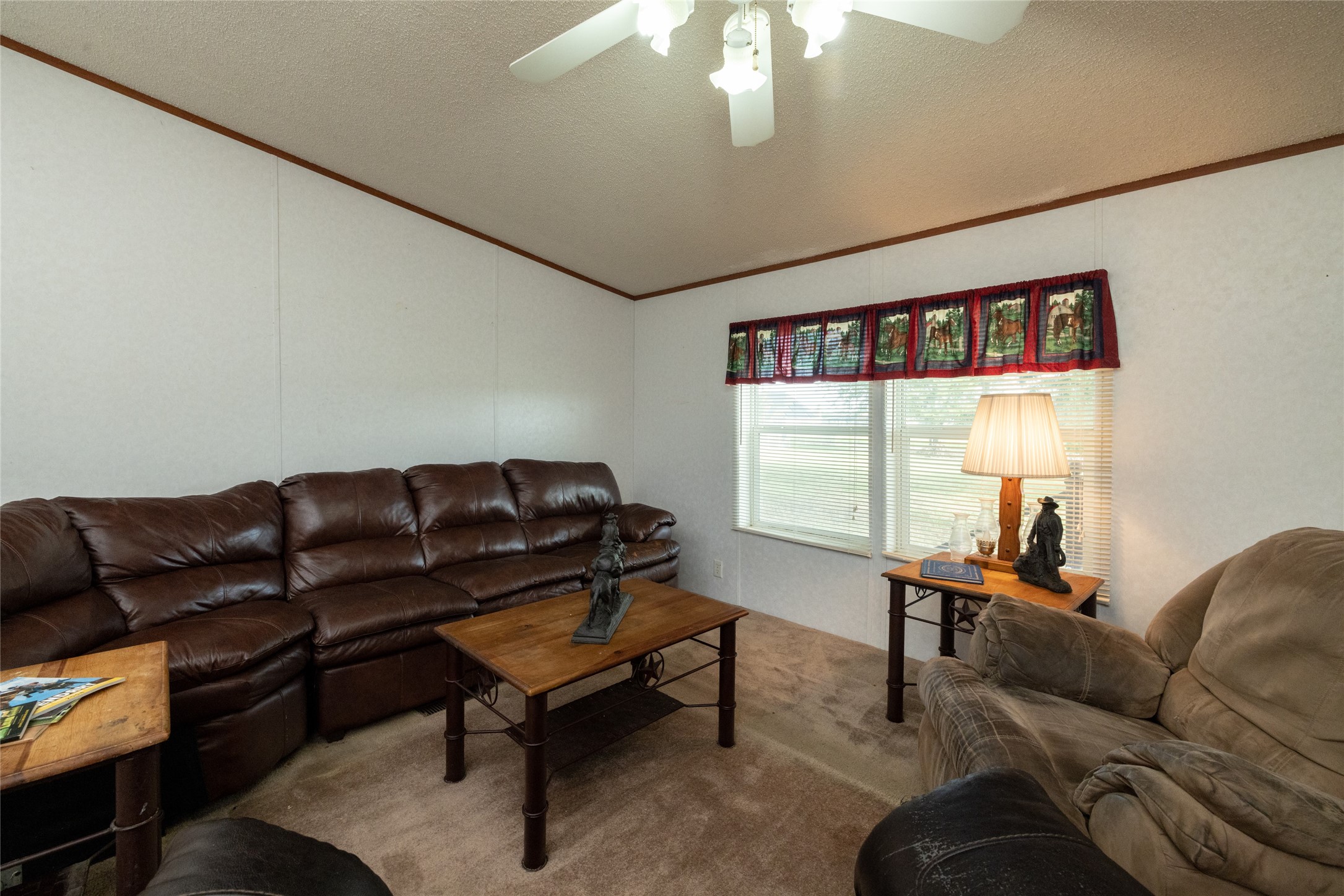 207 Lazy B Lane Springtown TX 76082
