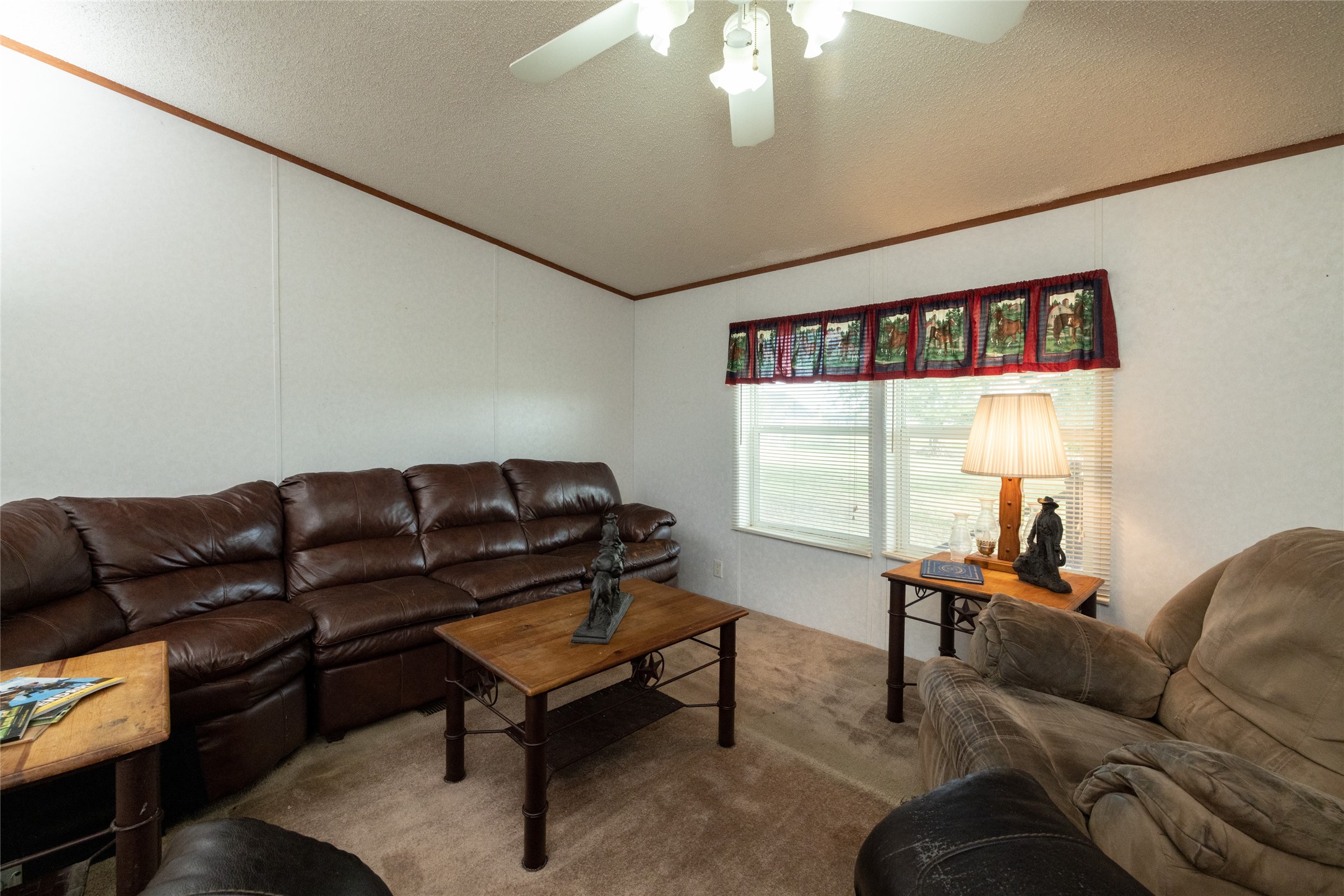 207 Lazy B Lane Springtown TX 76082