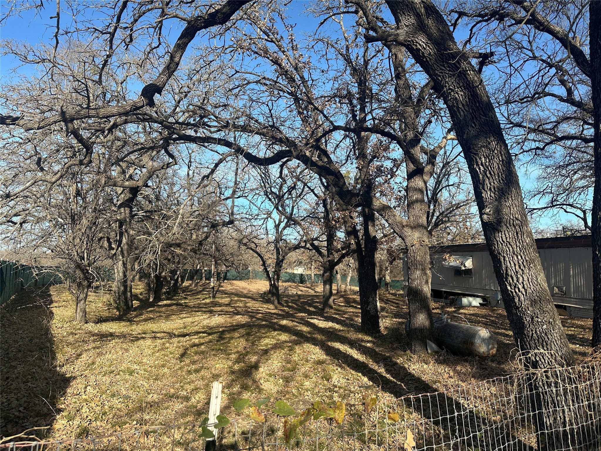 217 Buffalo Drive Comanche TX 76442