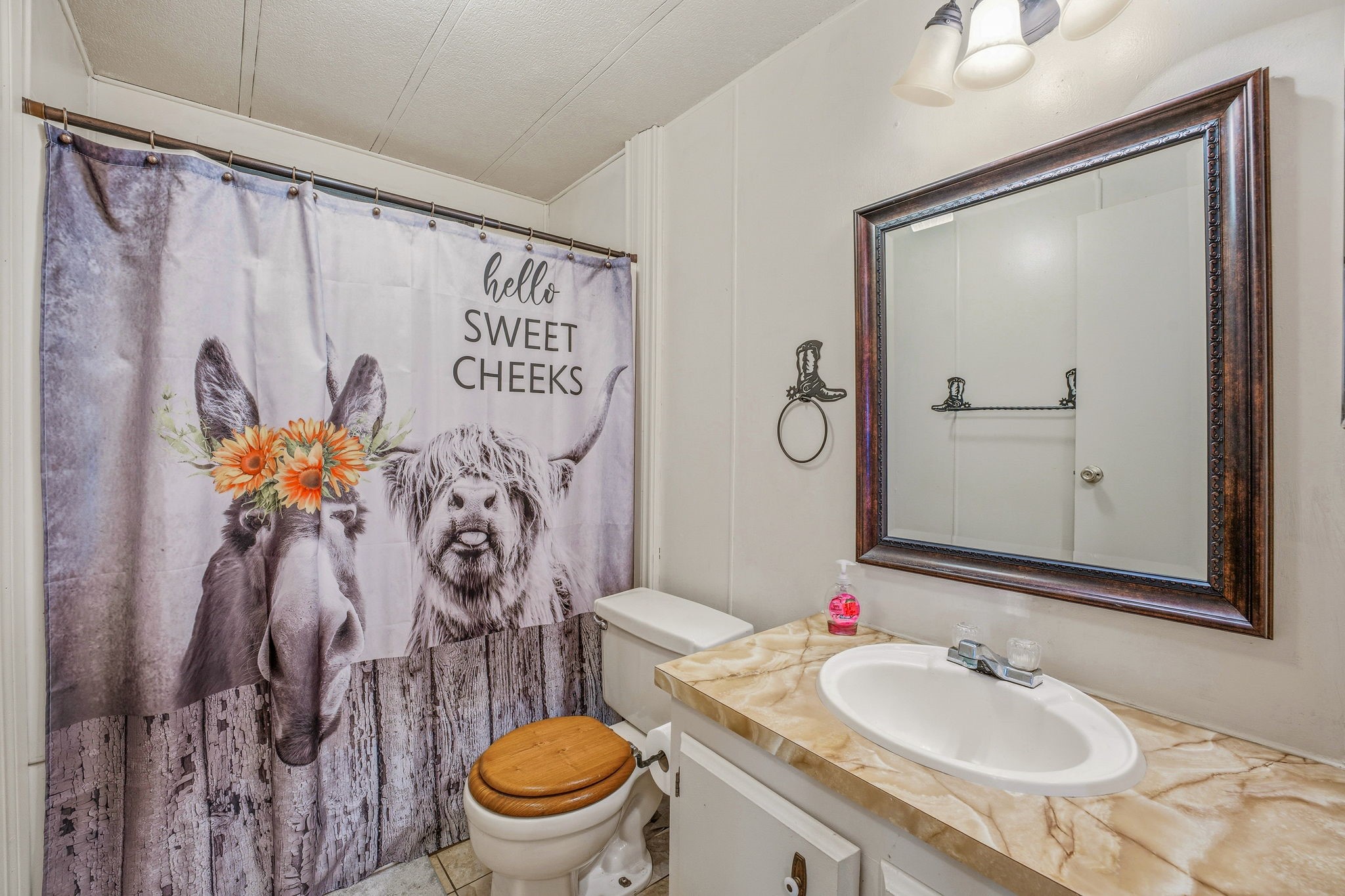 160 Private Road 1723 Dublin TX 76446