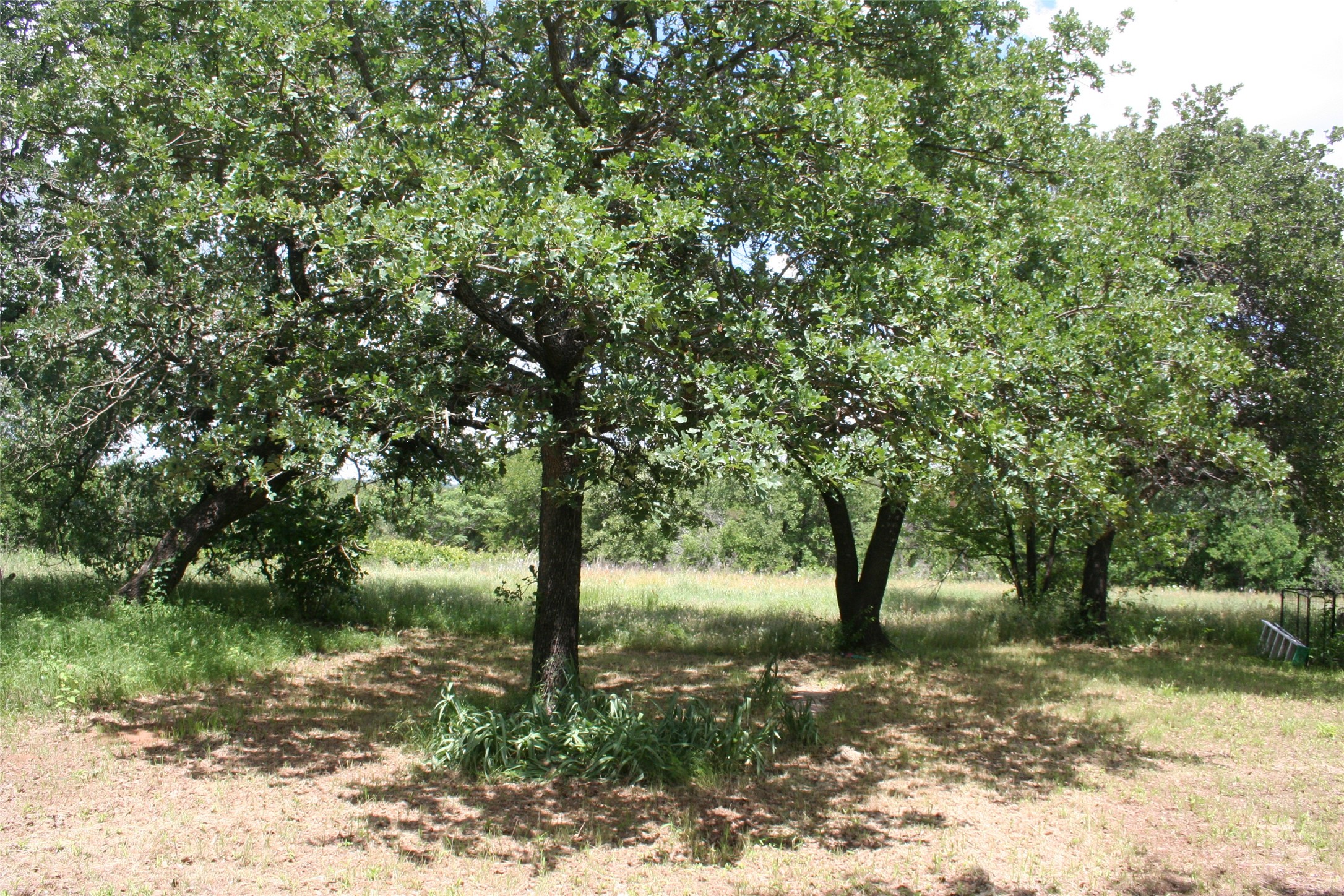 215A Buzbee Road Palo Pinto TX 76484