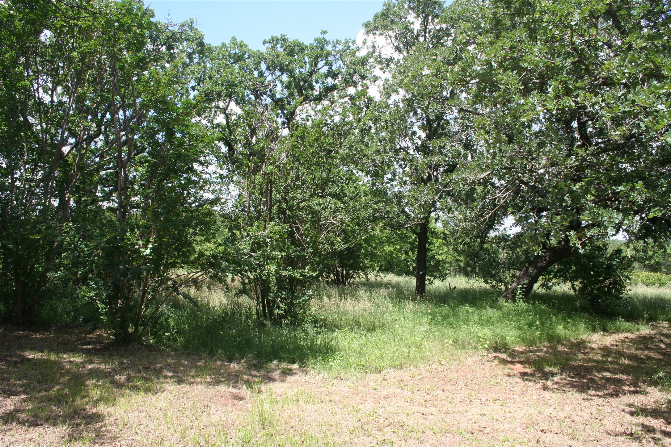 215A Buzbee Road Palo Pinto TX 76484
