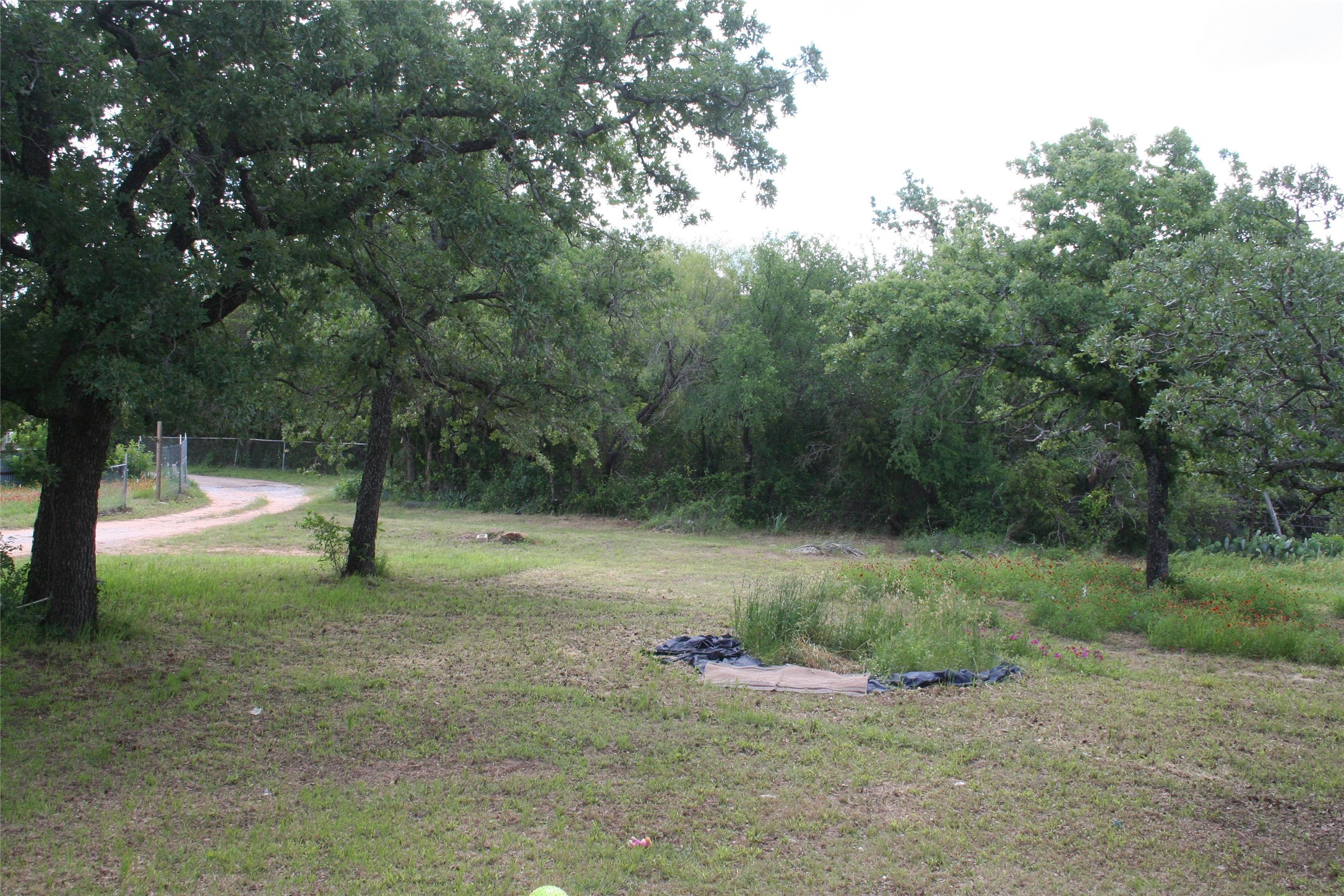 215A Buzbee Road Palo Pinto TX 76484