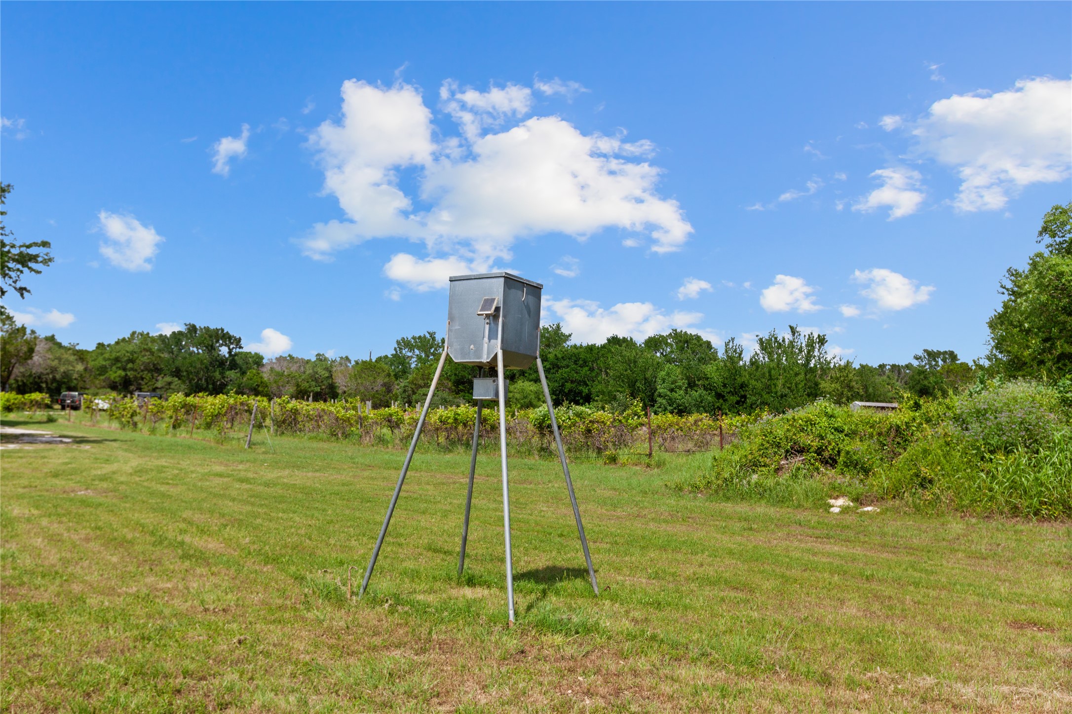 106 Private Road 1381 Morgan TX 76671