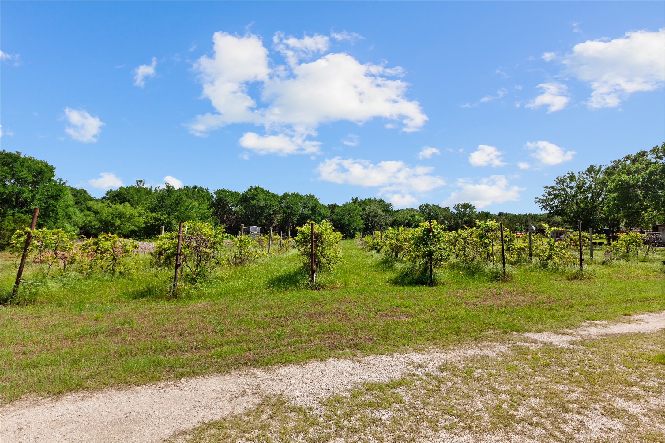 106 Private Road 1381 Morgan TX 76671