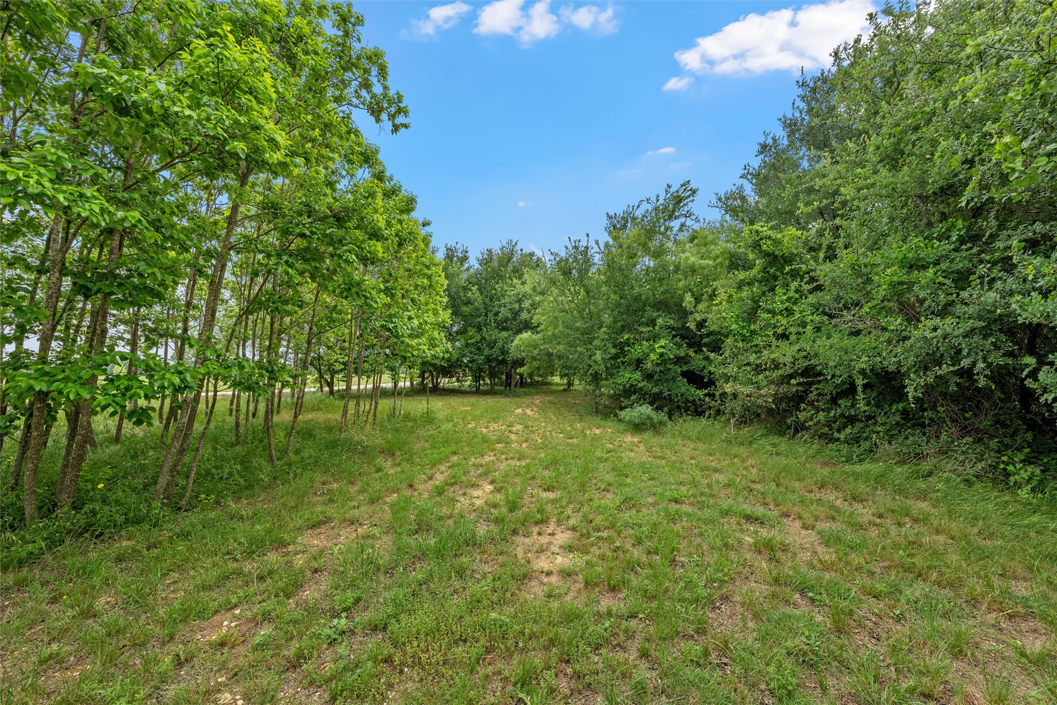 125 Private Road 245 Hillsboro TX 76645