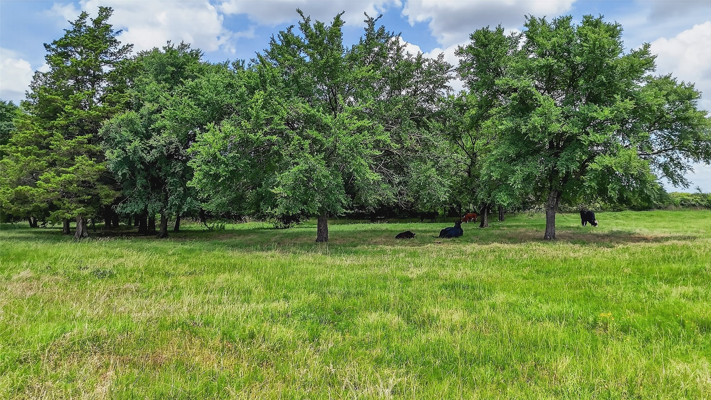2869 Ranch Road Whitesboro TX 76273