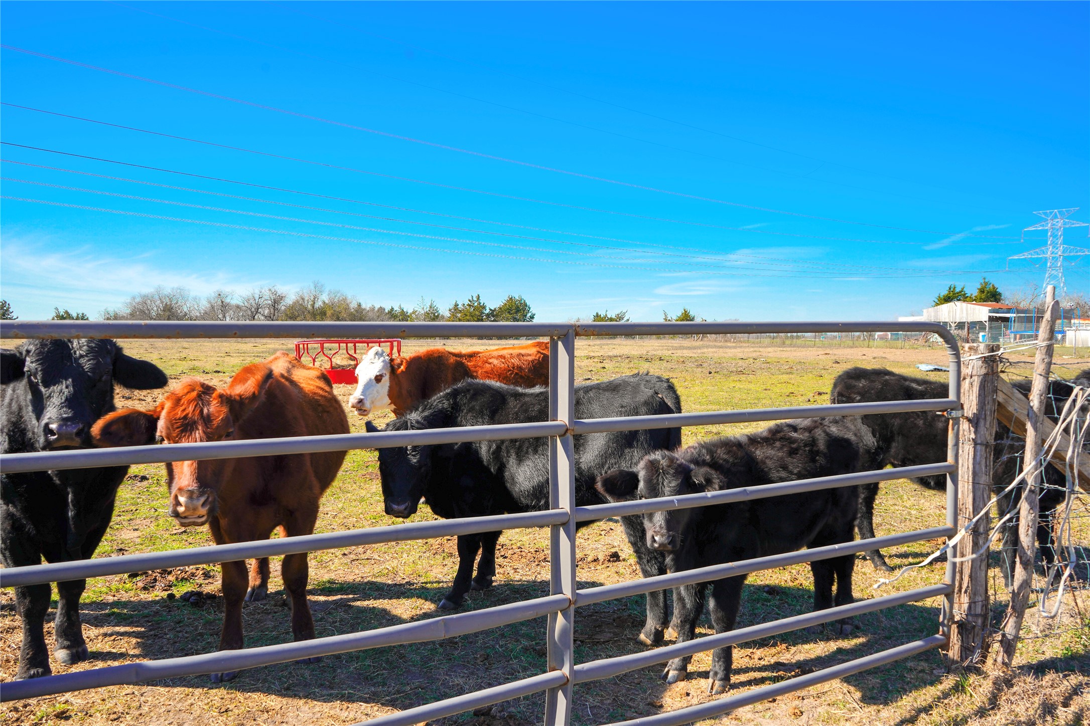 5363 County Road 2280 Blooming Grove TX 76626