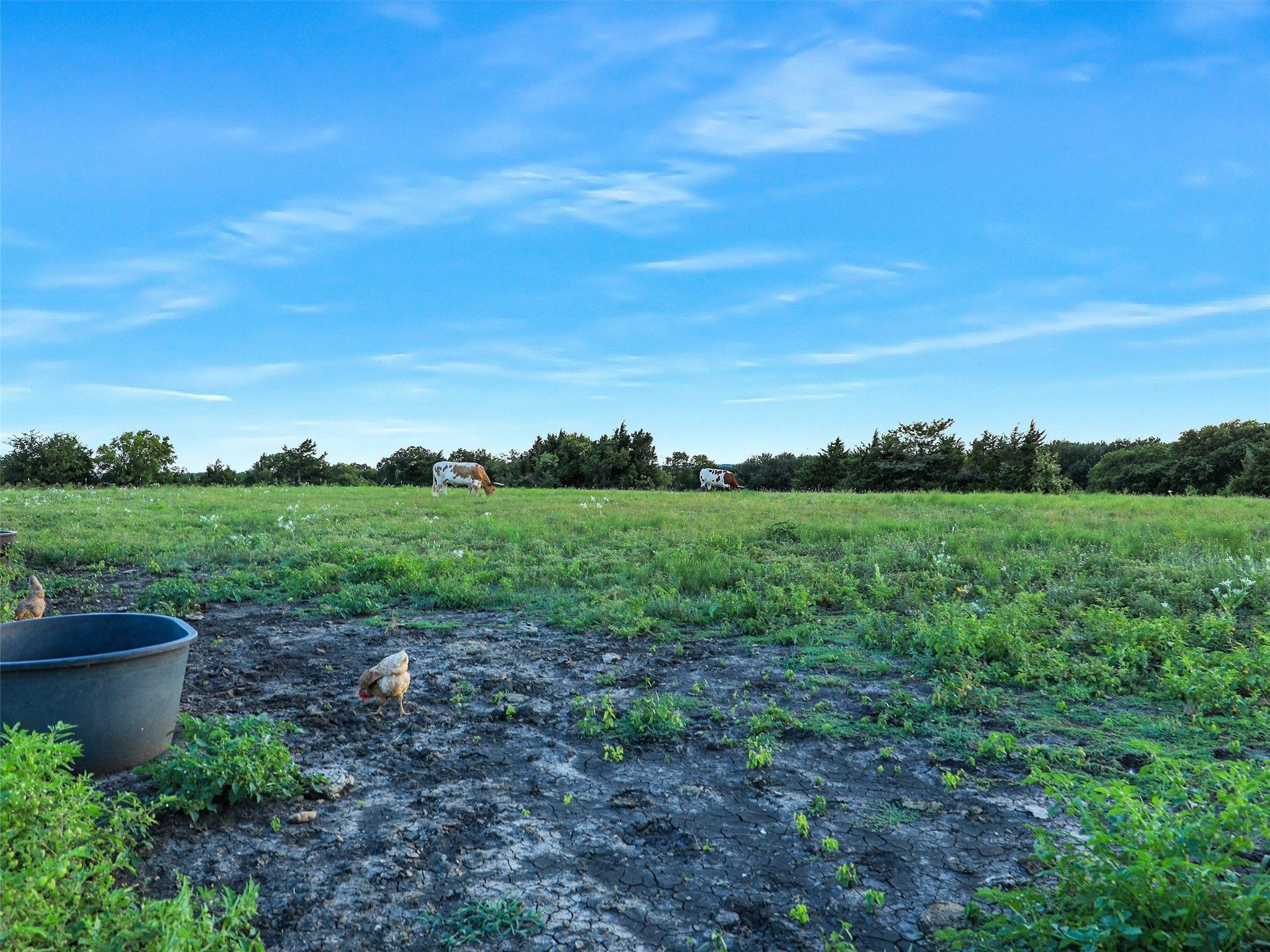 2149 Webb Smith Road Sherman TX 75090