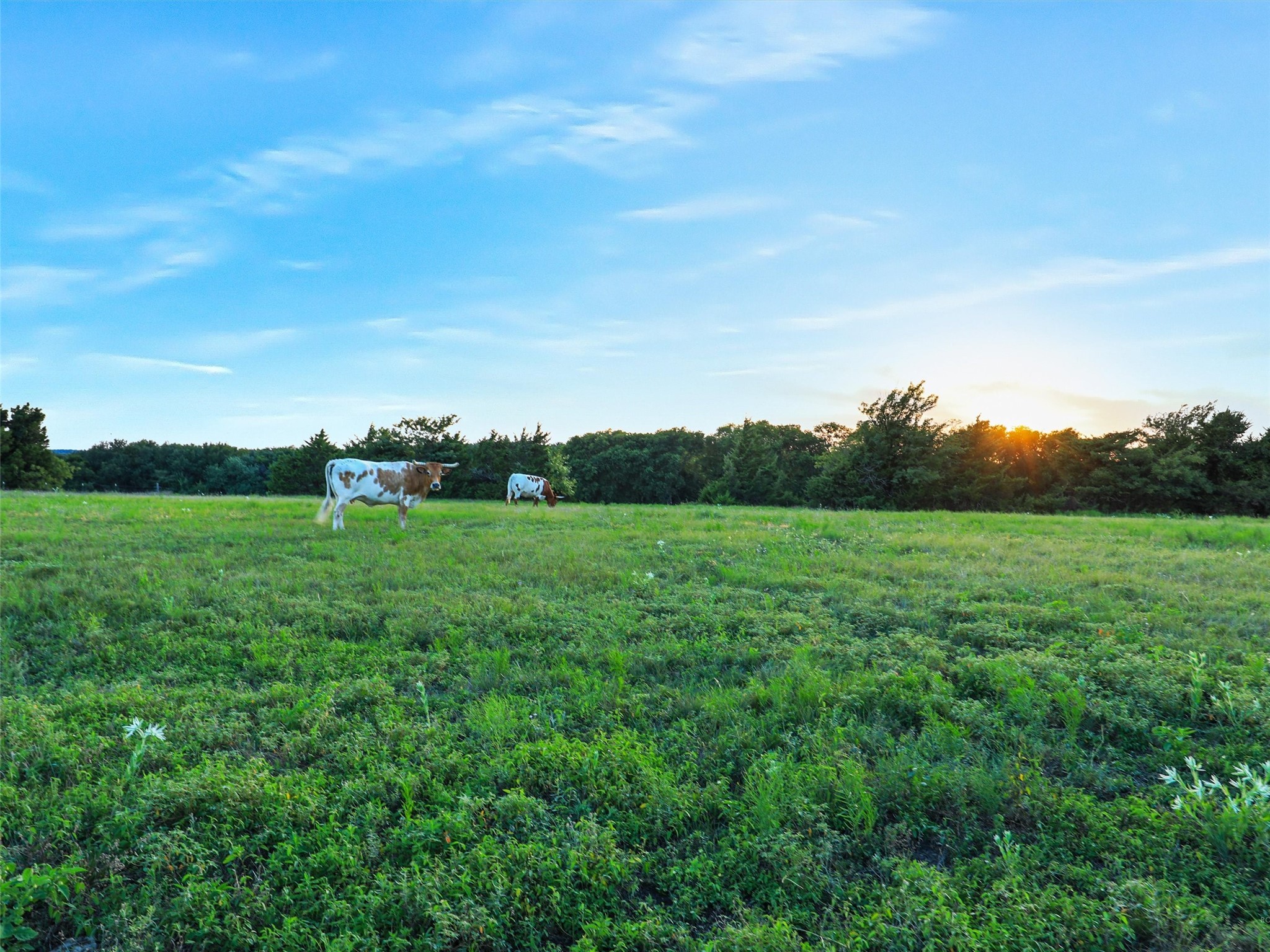 2149 Webb Smith Road Sherman TX 75090