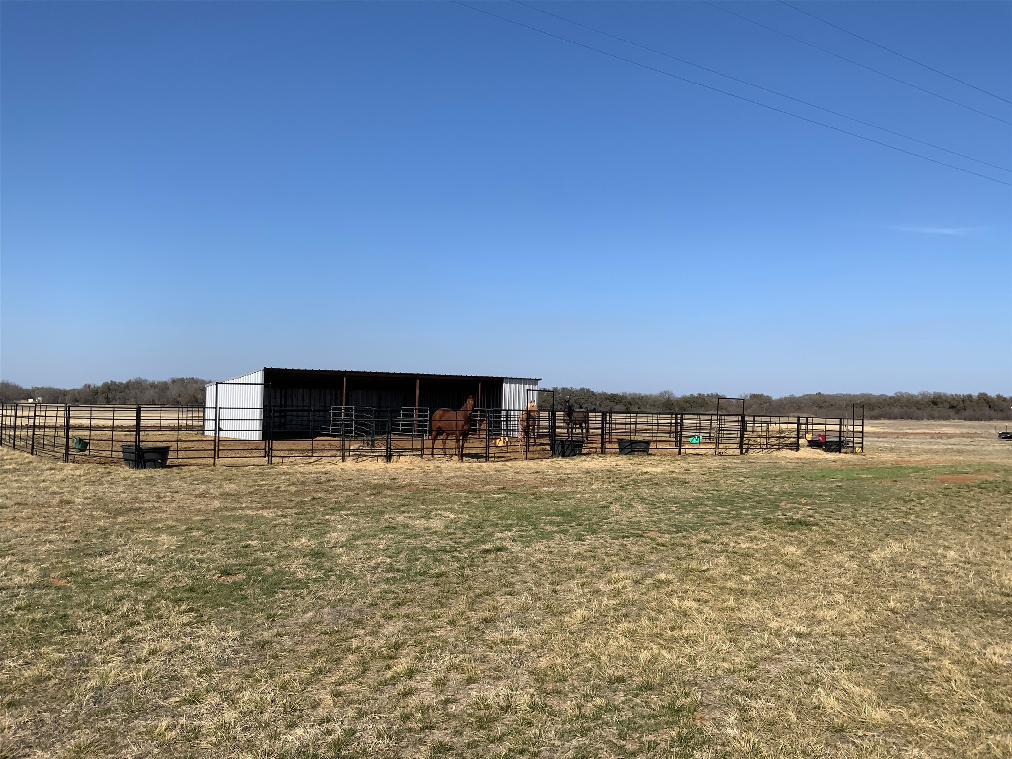 1595 County Road 131 Rising Star TX 76471