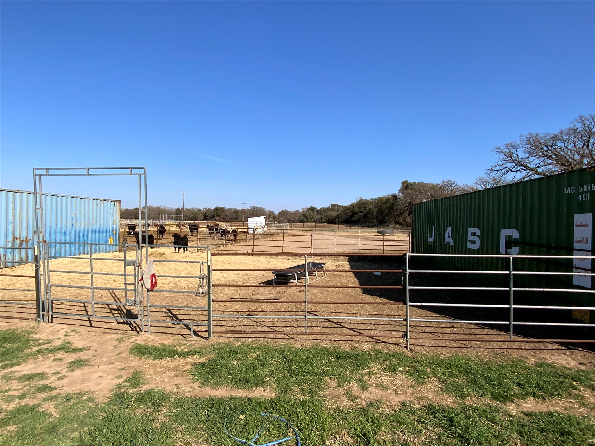 1595 County Road 131 Rising Star TX 76471