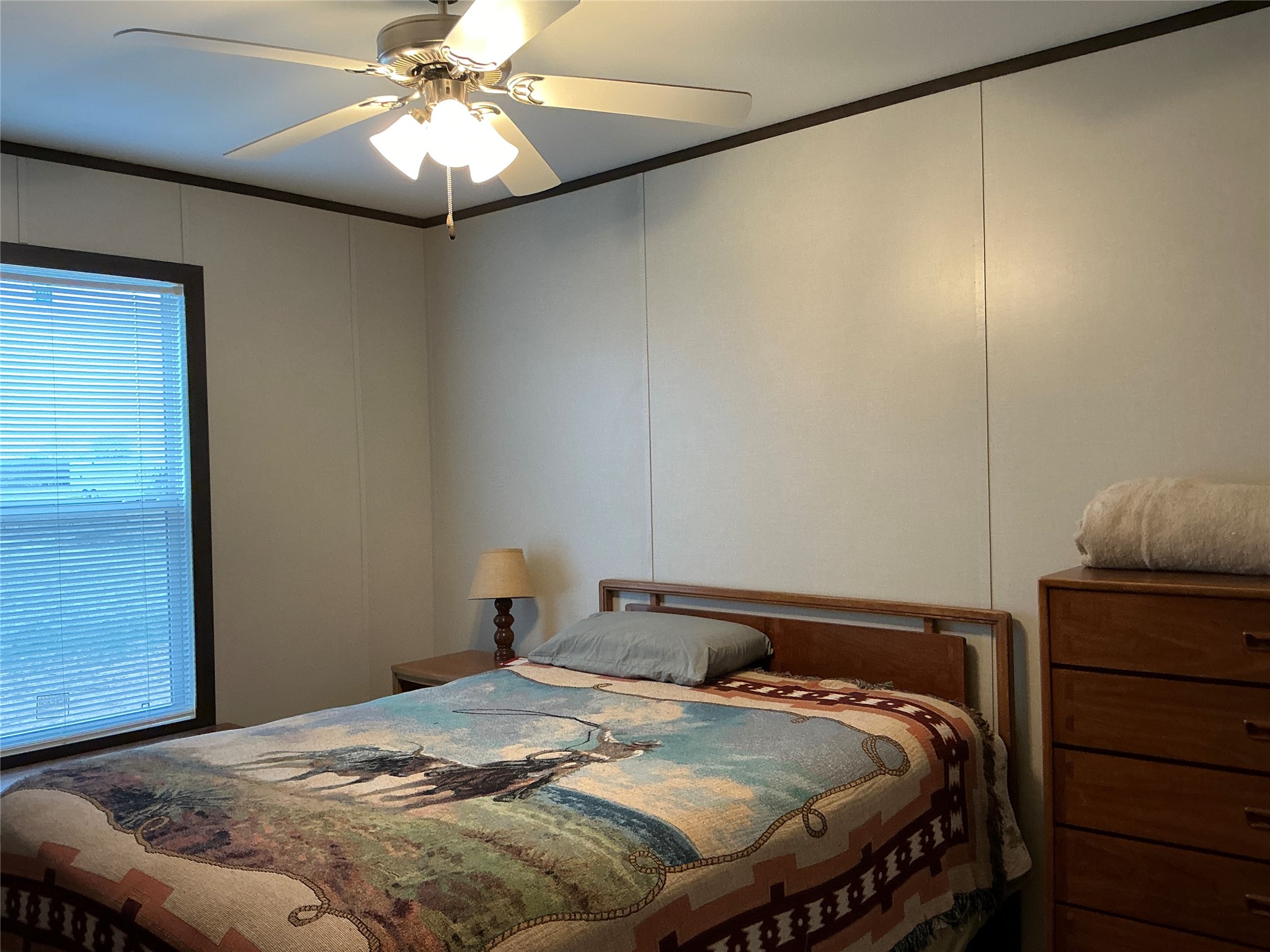 1595 County Road 131 Rising Star TX 76471