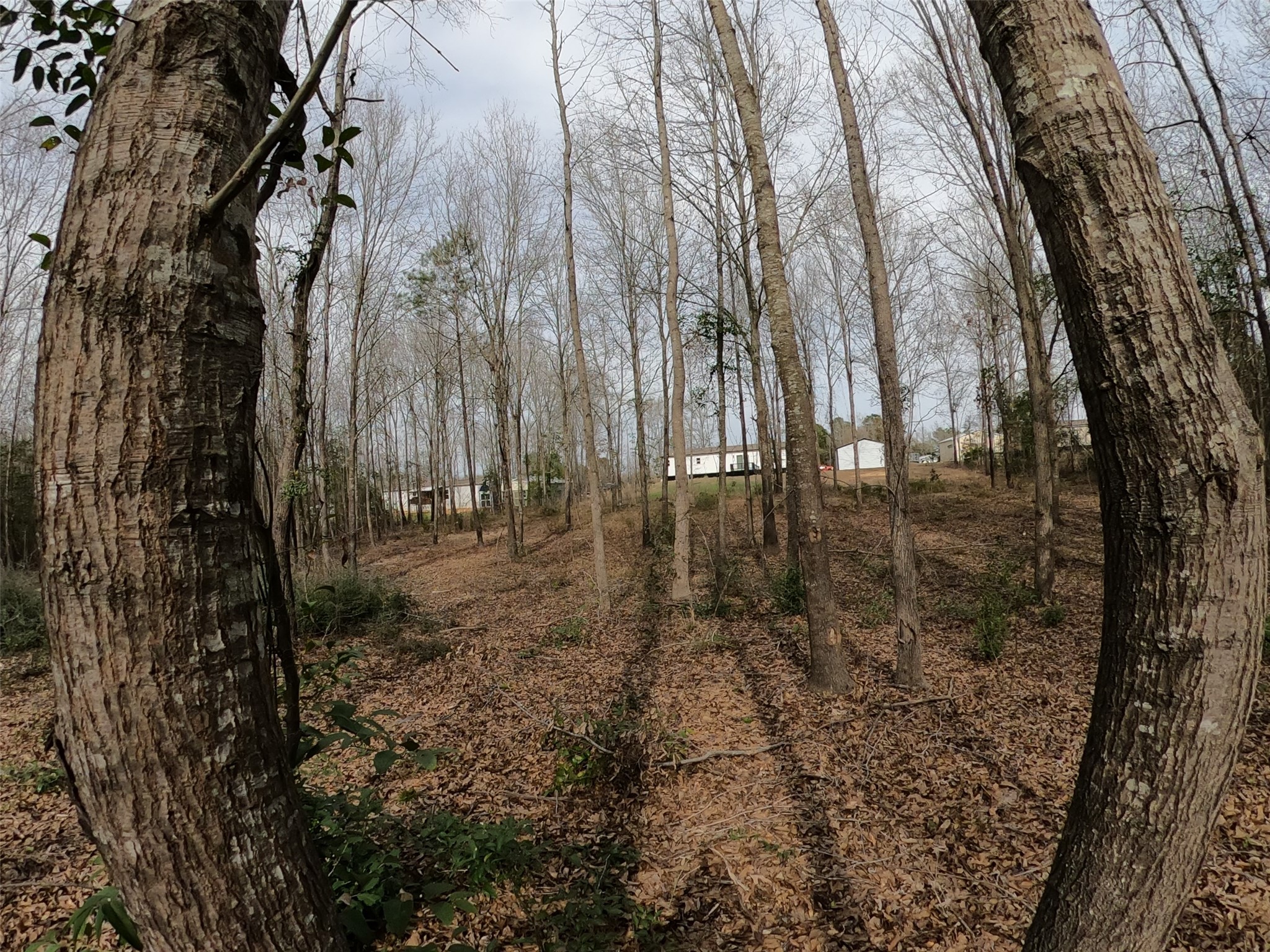 141 Tanglewood Drive Gilmer TX 75645