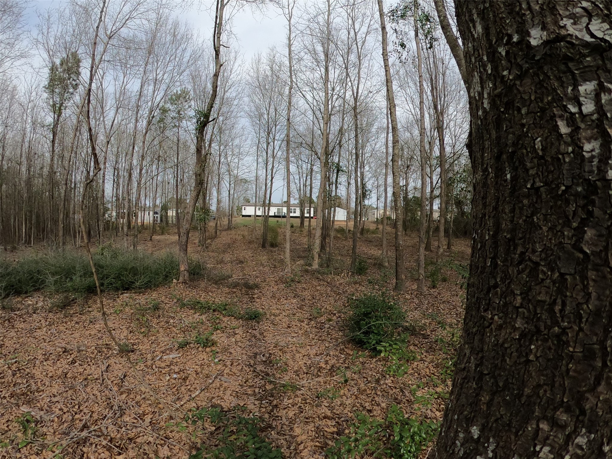 141 Tanglewood Drive Gilmer TX 75645
