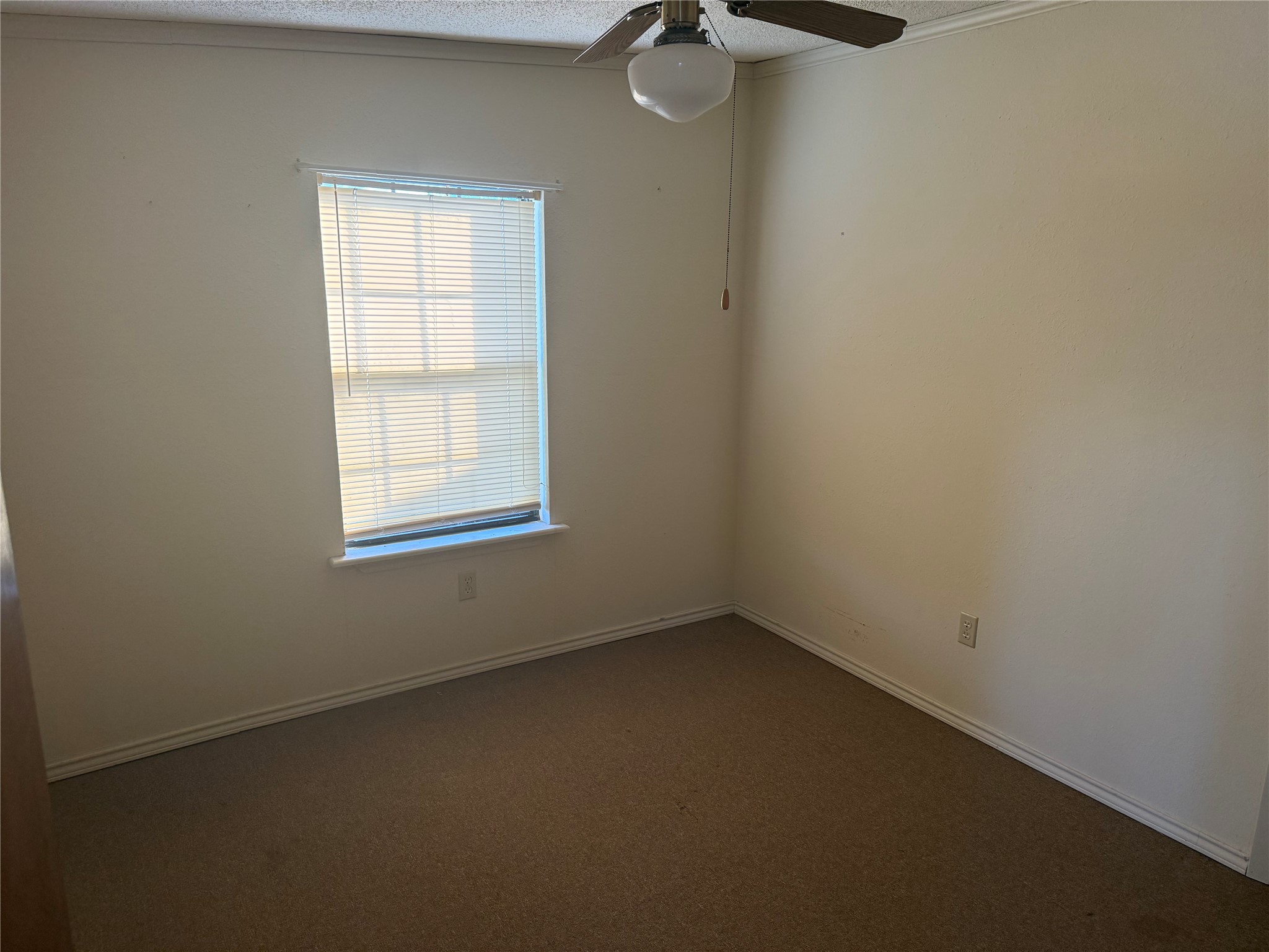 1501 Mcadams Road Graford TX 76449
