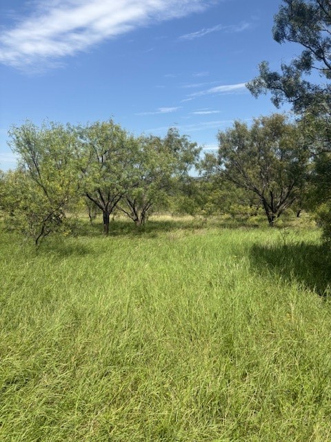 55 County Road 275 Priddy TX 76442