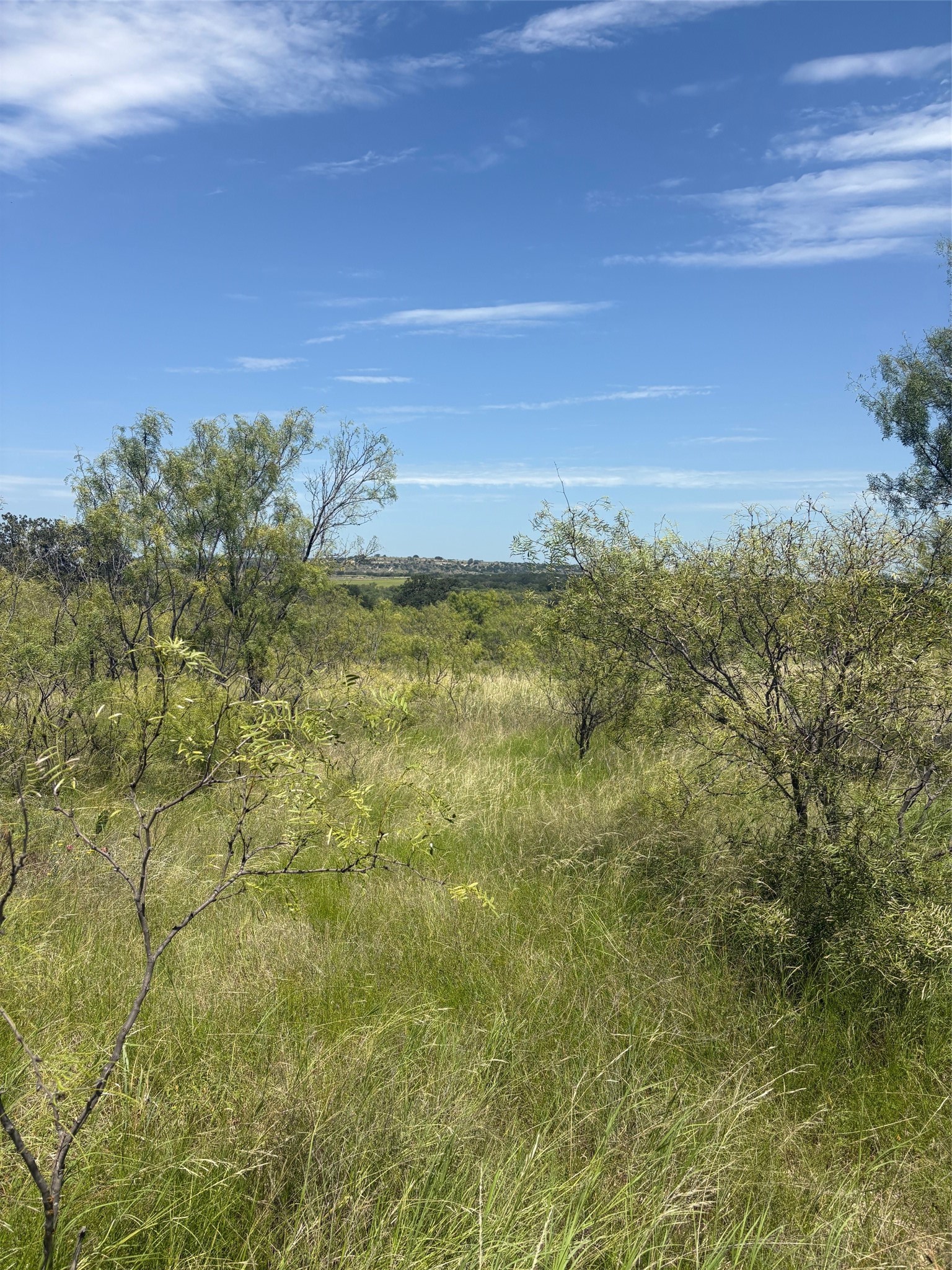 55 County Road 275 Priddy TX 76442