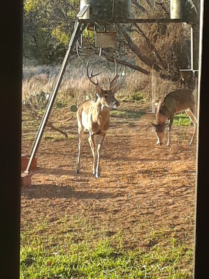55 County Road 275 Priddy TX 76442