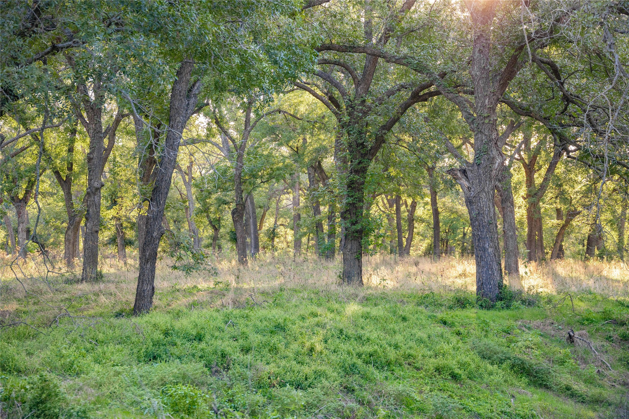 2828 Fm-1702 Gustine TX 76455