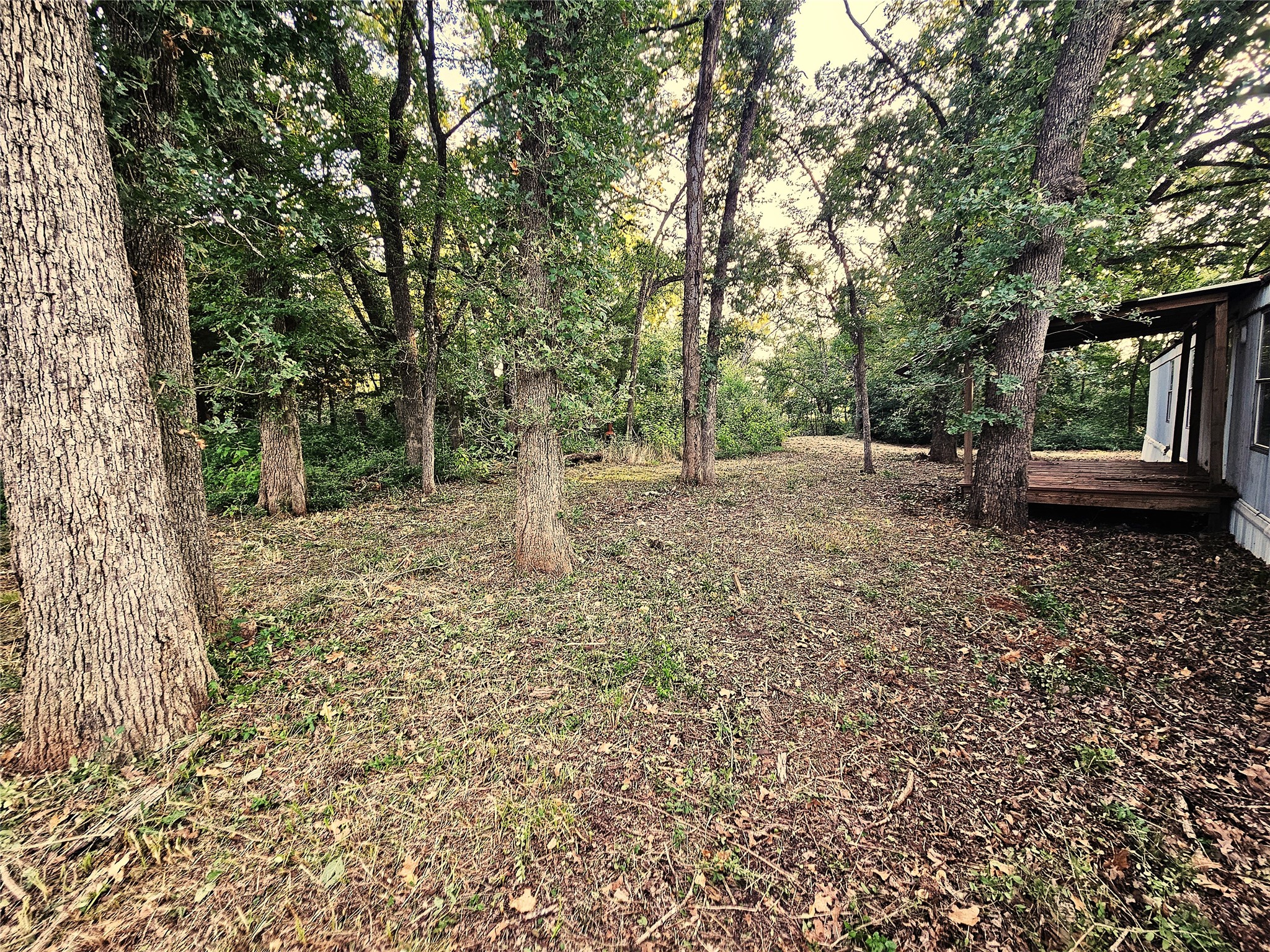 109 Pr 5881a Jewett TX 75846
