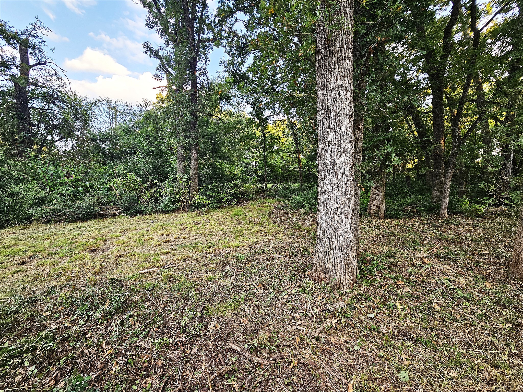 109 Pr 5881a Jewett TX 75846