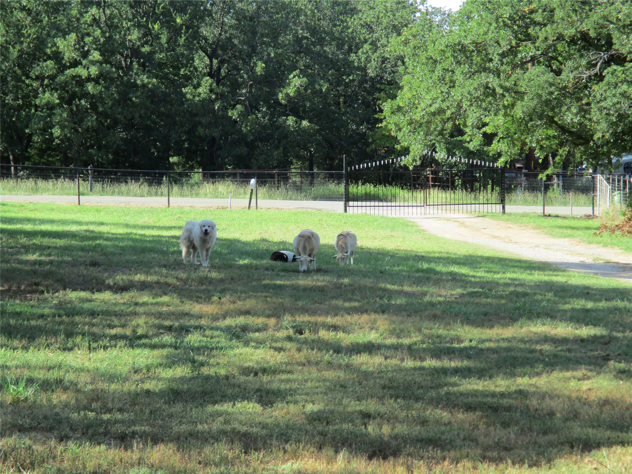 214 County Road 3432 Paradise TX 76073