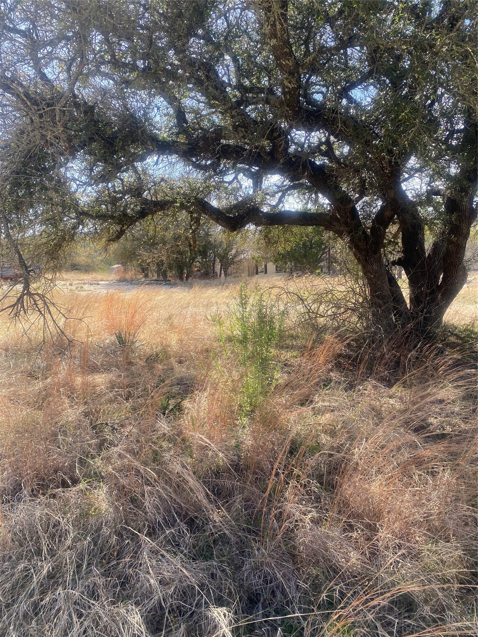 6036 E Us Highway 84 Highway E Evant TX 76525