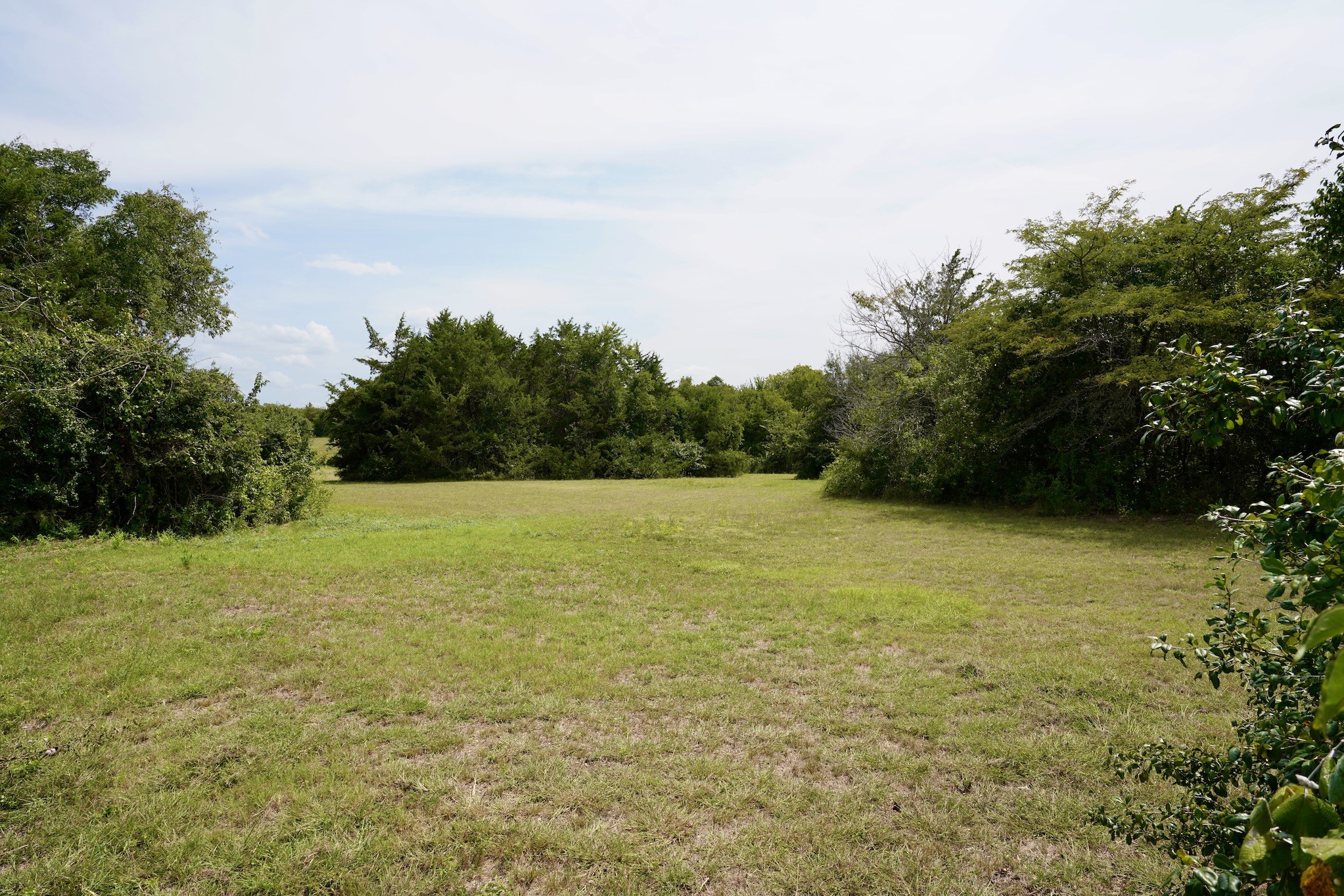 245 Oak Hill Court Waxahachie TX 75167