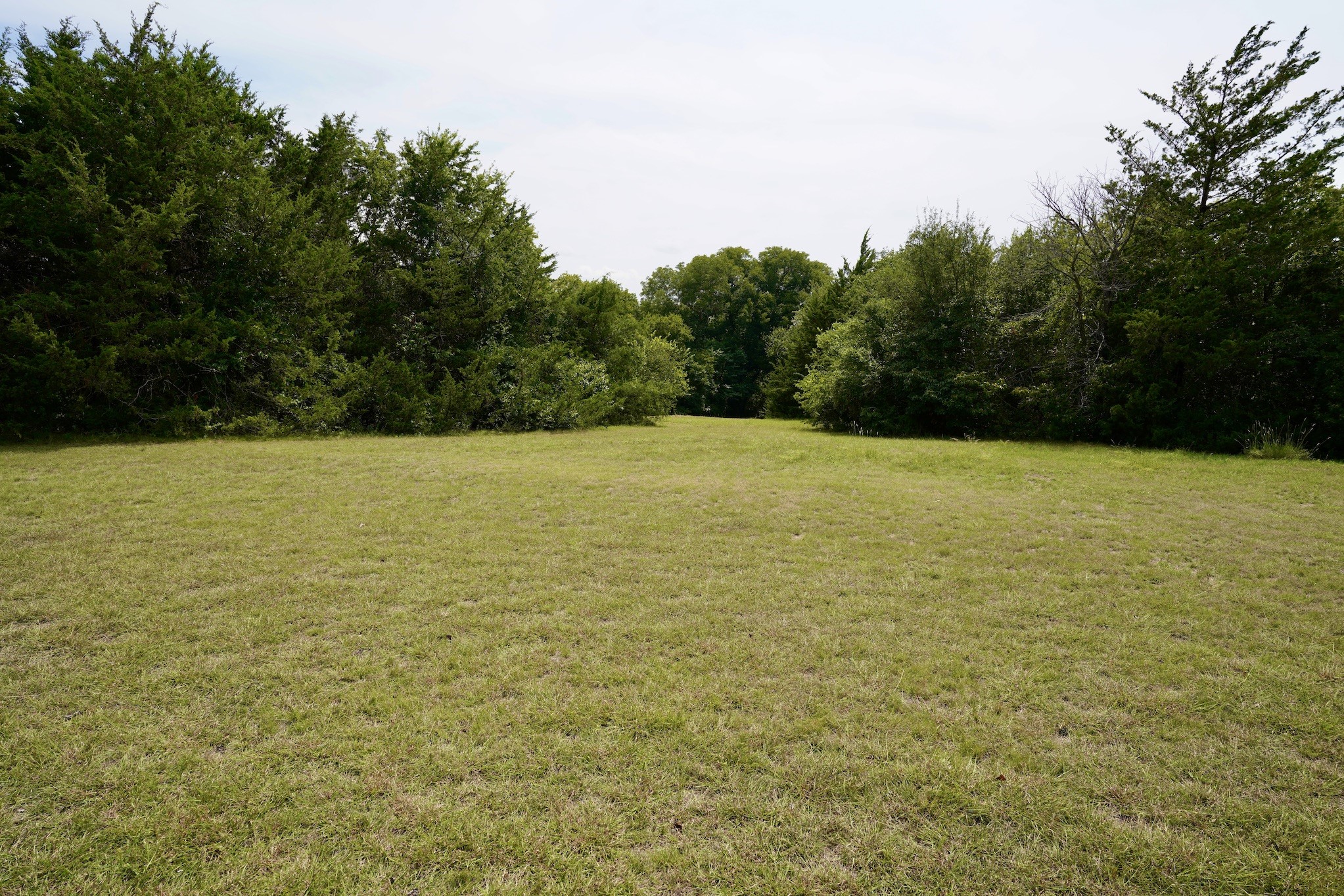 245 Oak Hill Court Waxahachie TX 75167