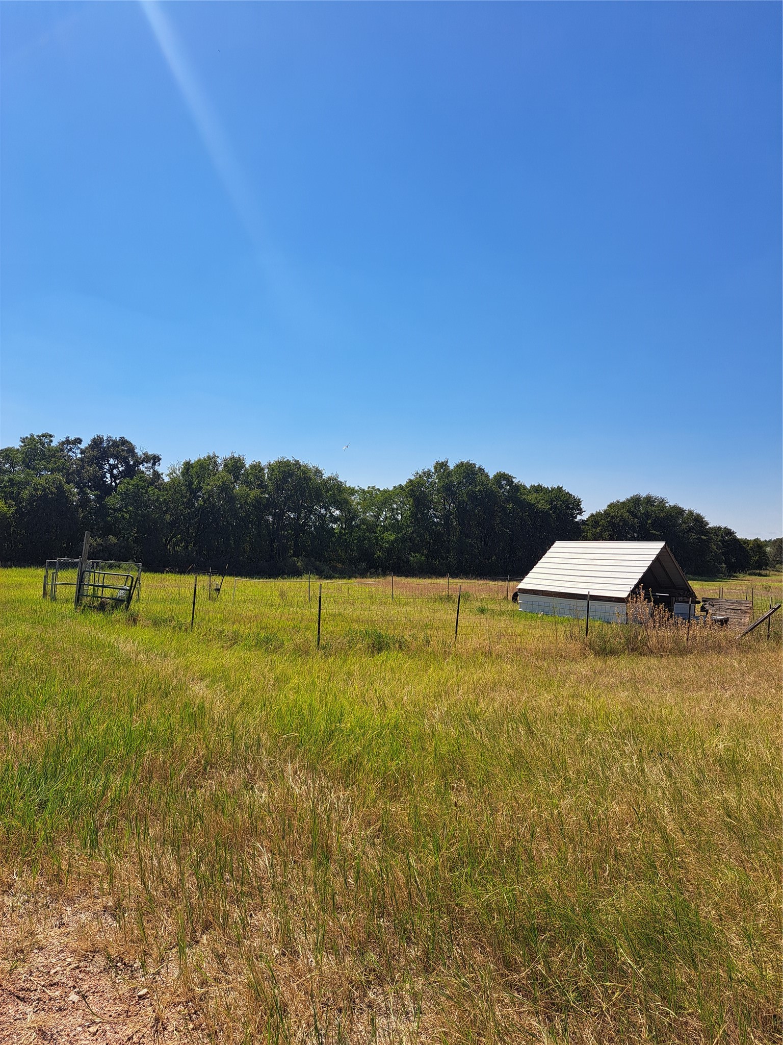 5664 Fm 3368 Hawley TX 79525